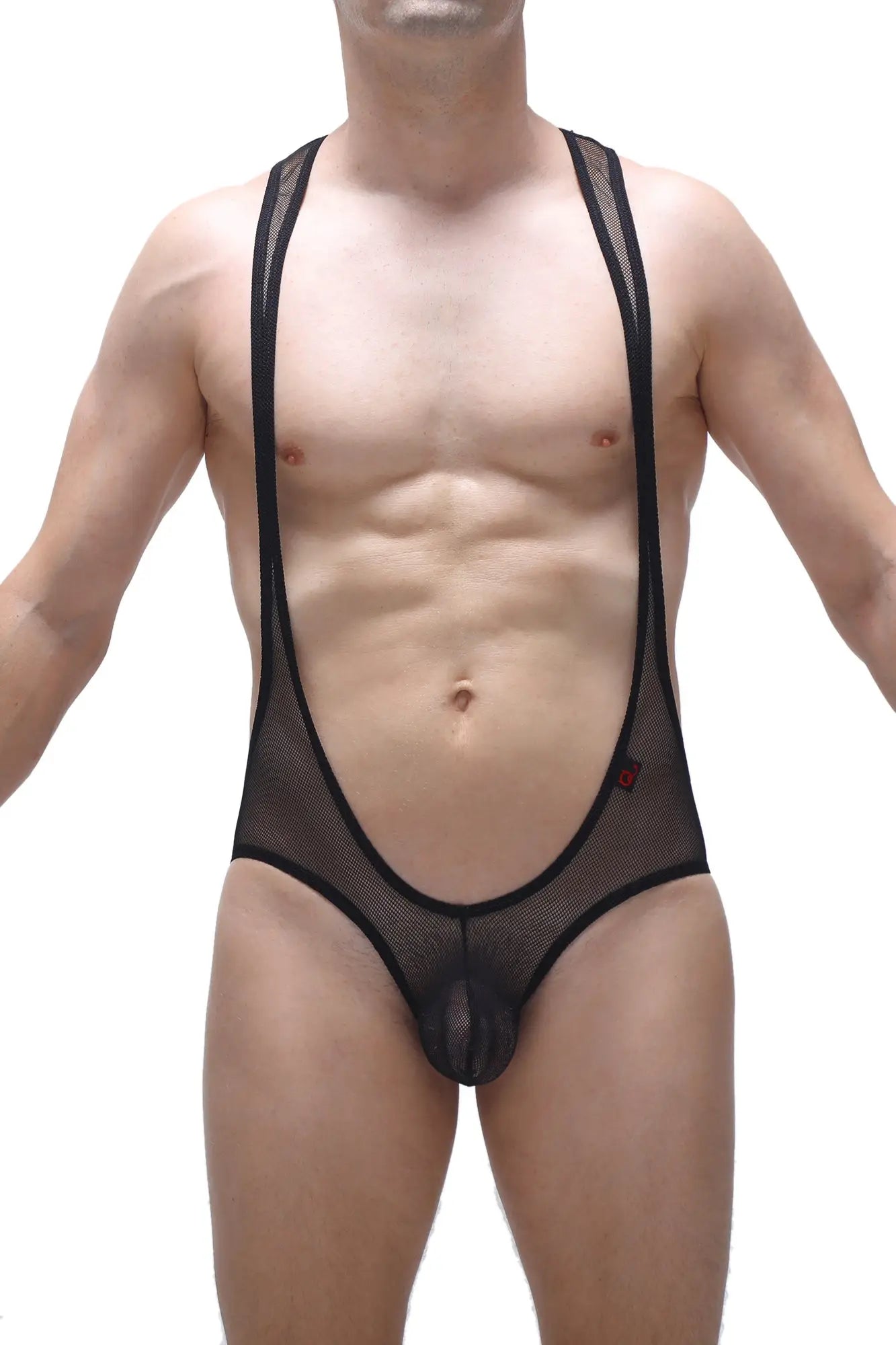 Petitq bodysuit open net black sheer black mesh men’s suspenders briefs with a form-fitting design