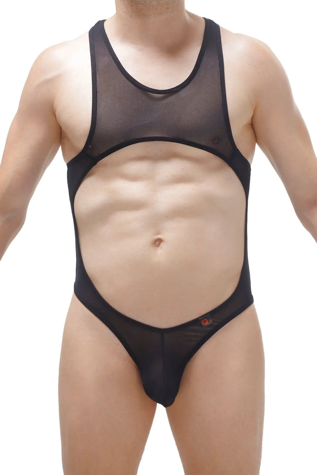 Black sheer mesh one-piece swimsuit with cutout design petitQ bodysuit thong medis net black front view
