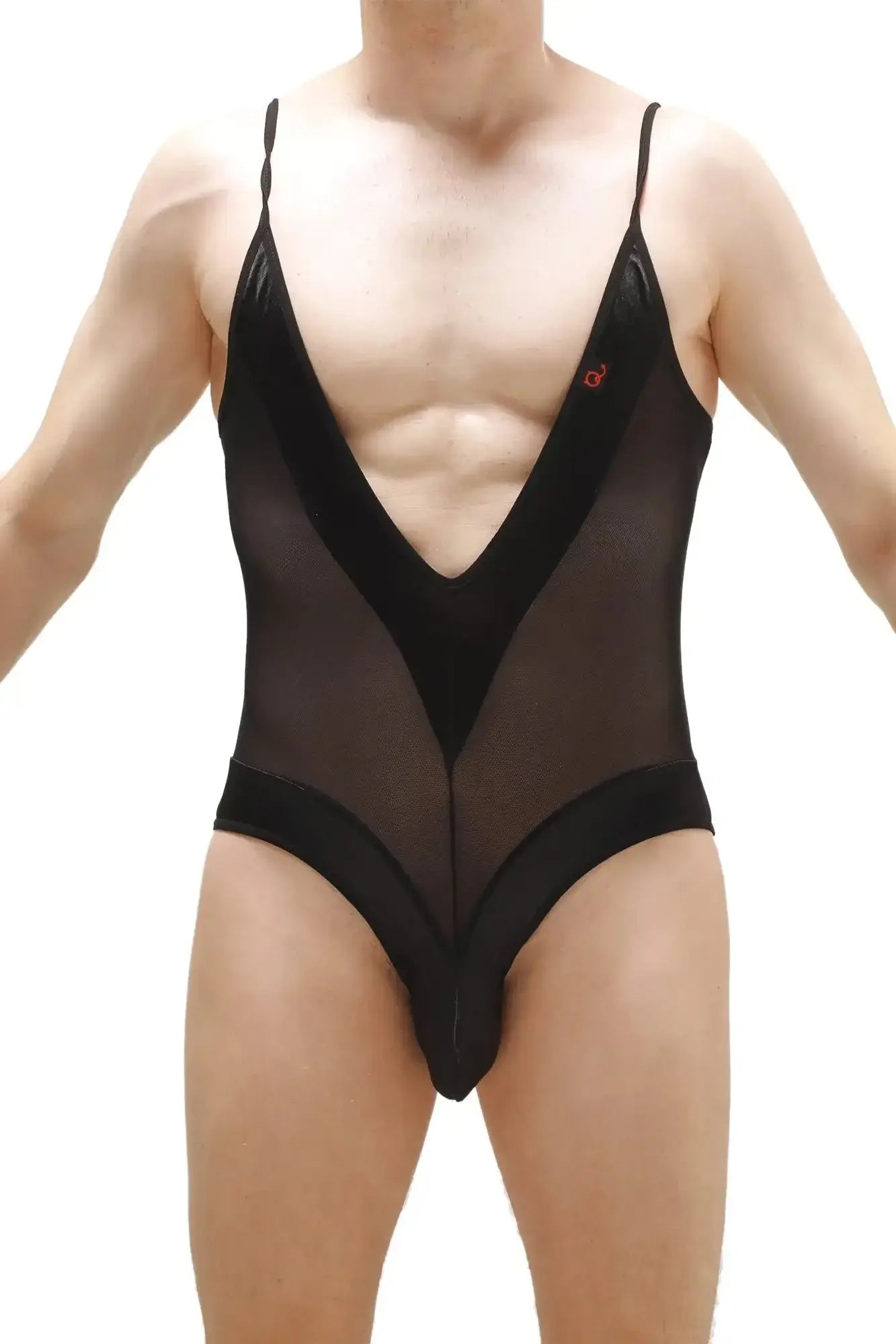 PetitQ bodythong Bonson black sheer mesh one-piece swimsuit with plunging v-neckline and solid black panels