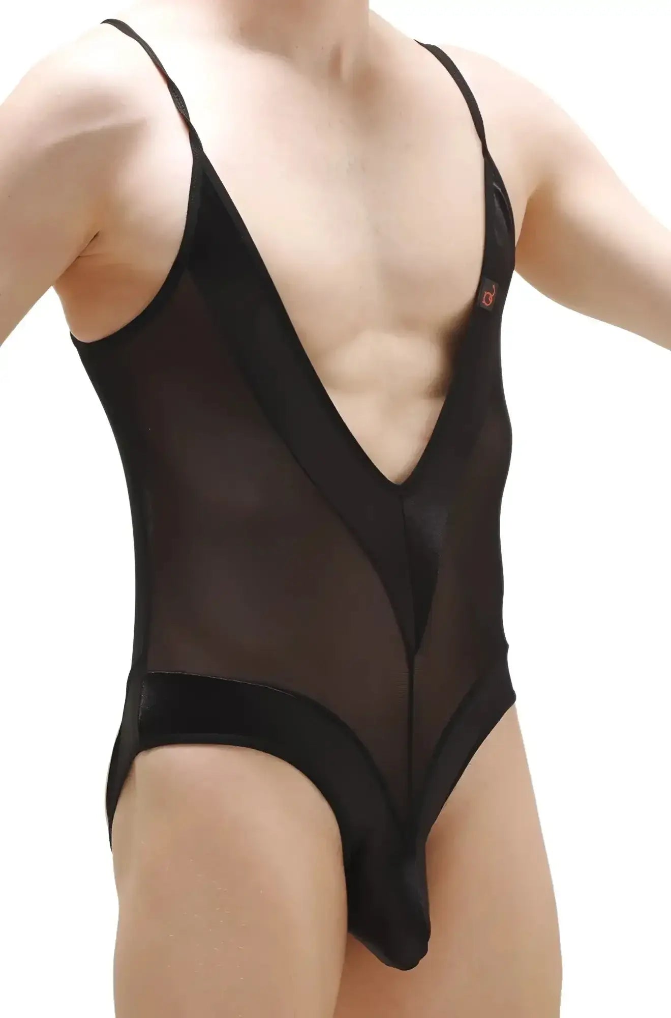 PetitQ bodythong bonson black sheer mesh one-piece swimsuit with deep v-neckline and solid black trim