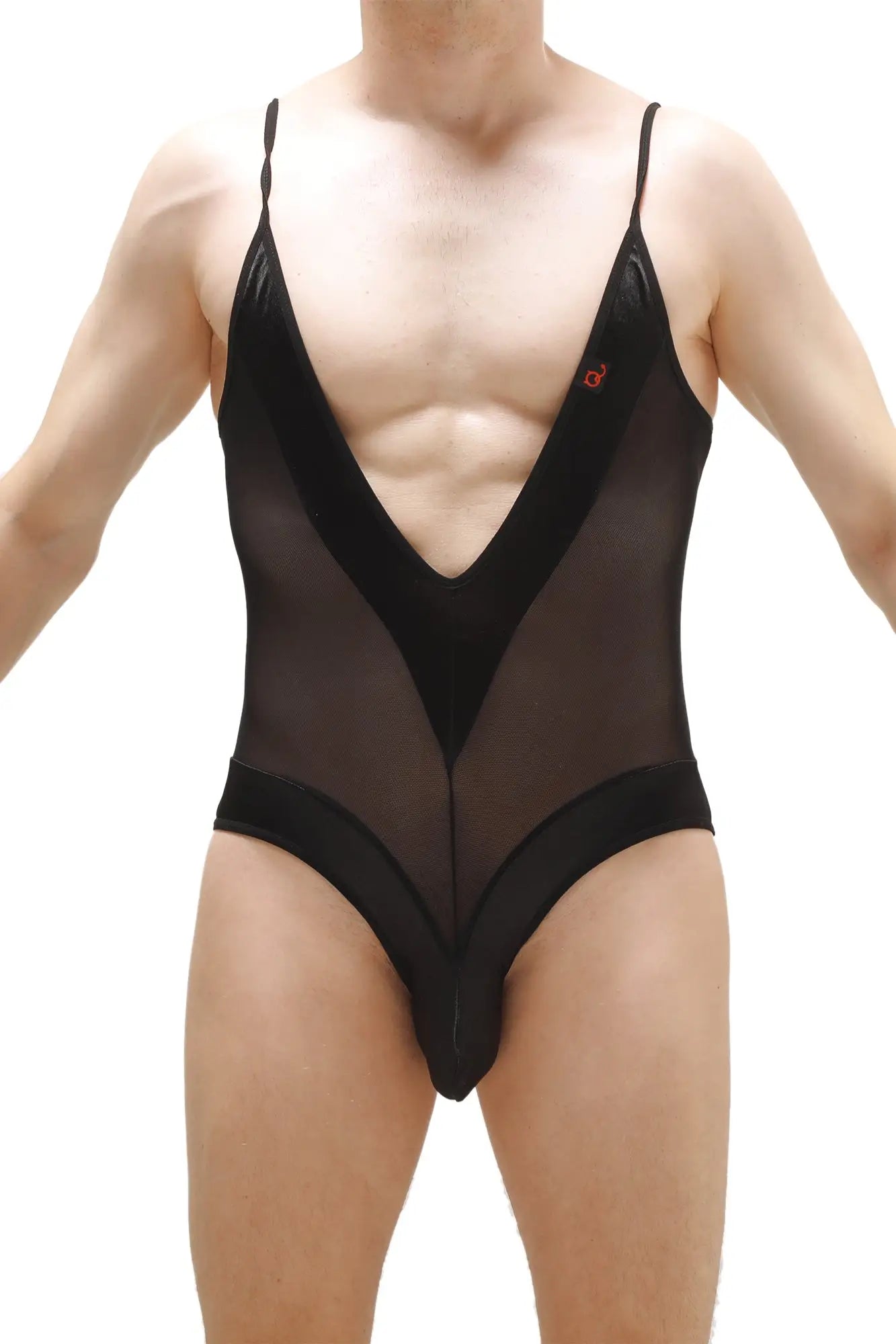 PetitQ bodythong Bonson black sheer mesh one-piece swimsuit with plunging v-neckline and solid black panels