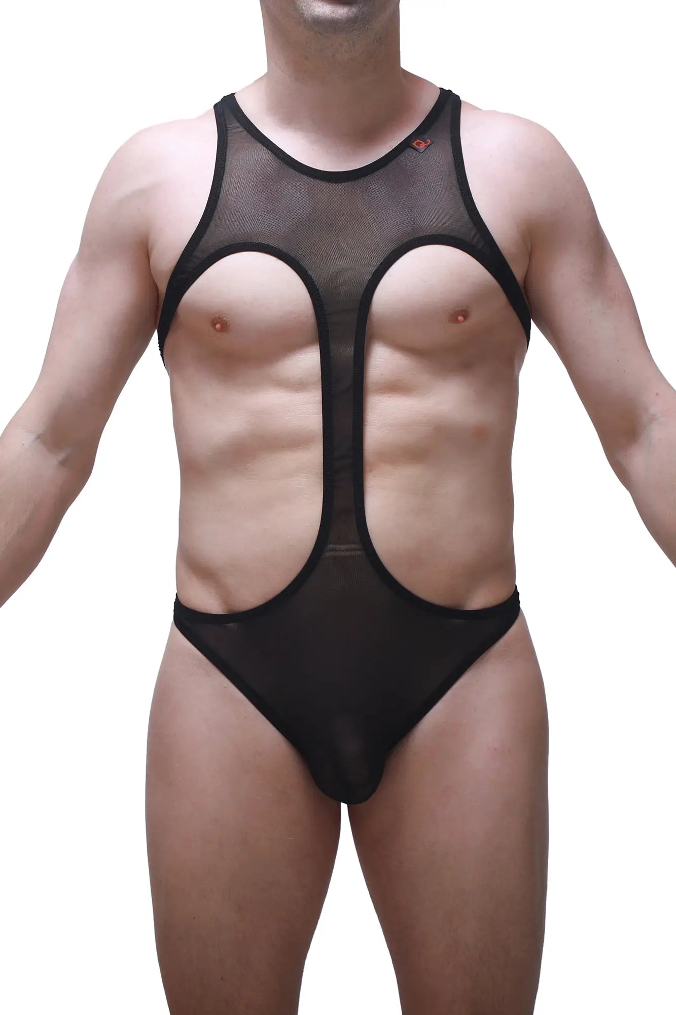 PetitQ bodythong Gracay net black sheer mesh one-piece swimsuit with bold cutouts and a sleek form-fitting design