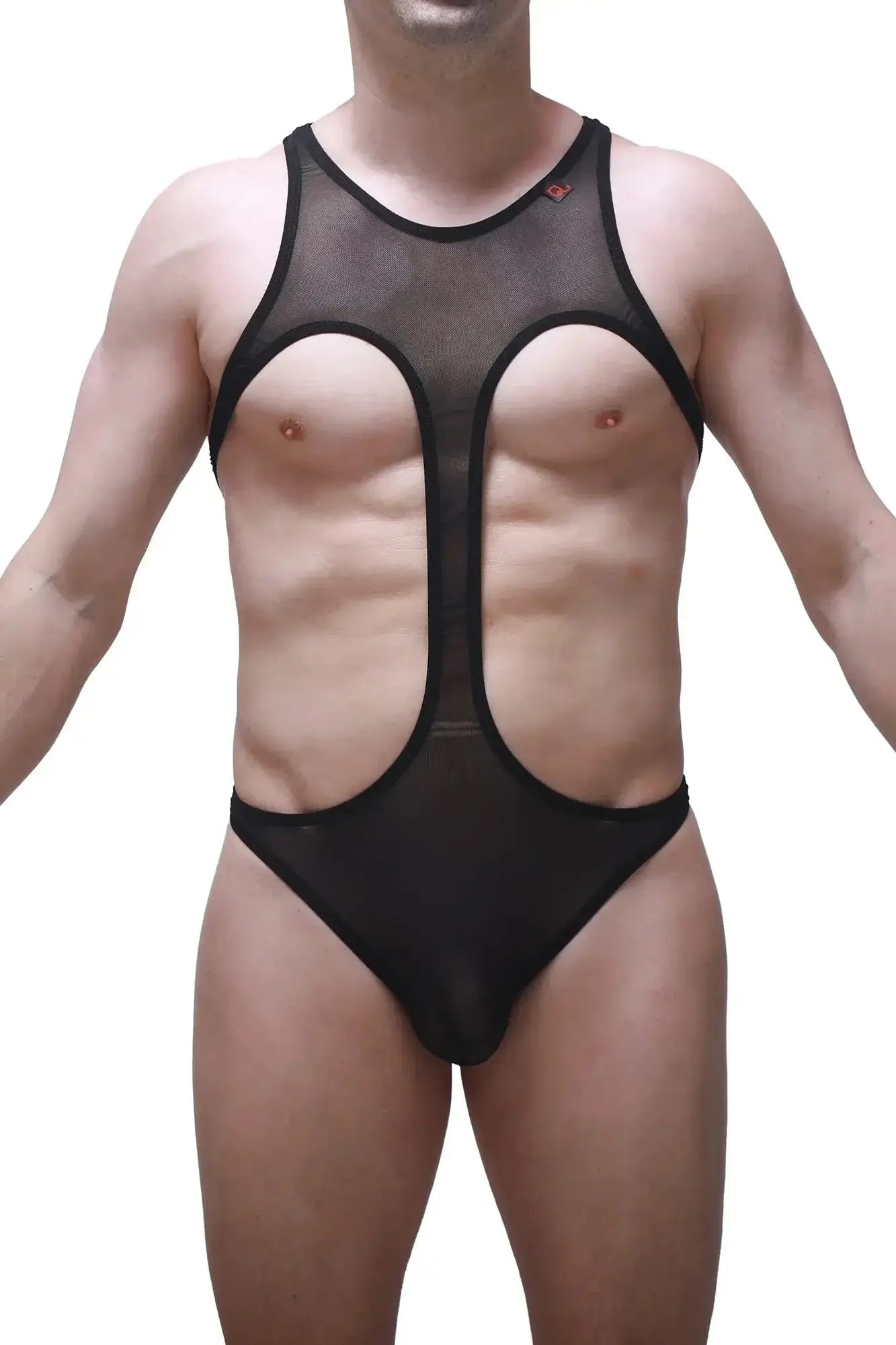 PetitQ bodythong Gracay net black sheer mesh one-piece swimsuit with bold cutouts and a sleek form-fitting design