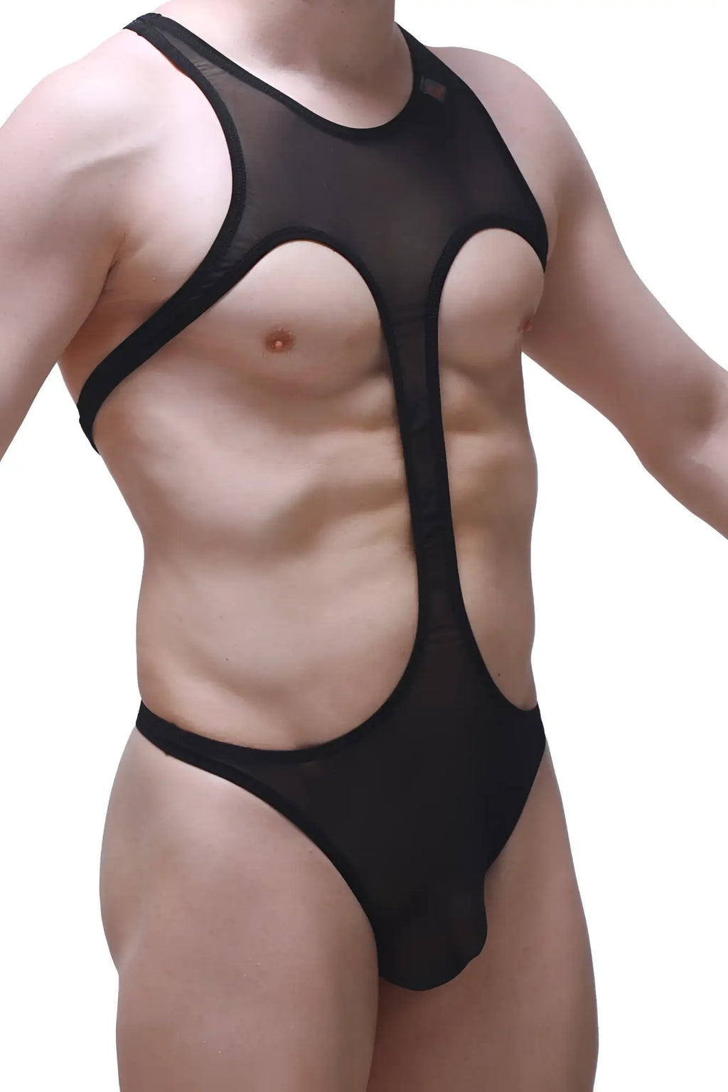 Black sheer mesh one-piece swimsuit with bold cutouts and reinforced trim petitq bodythong gracay net black