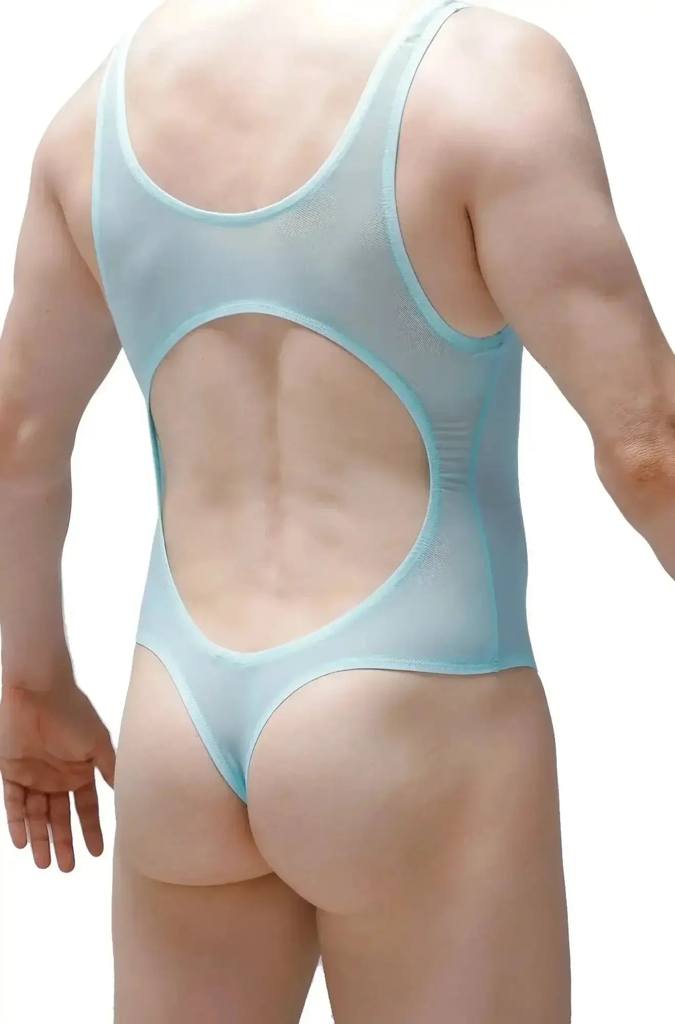 Back view of petitq bodythong nexon net green light blue sheer mesh one-piece swimsuit with large circular cutout