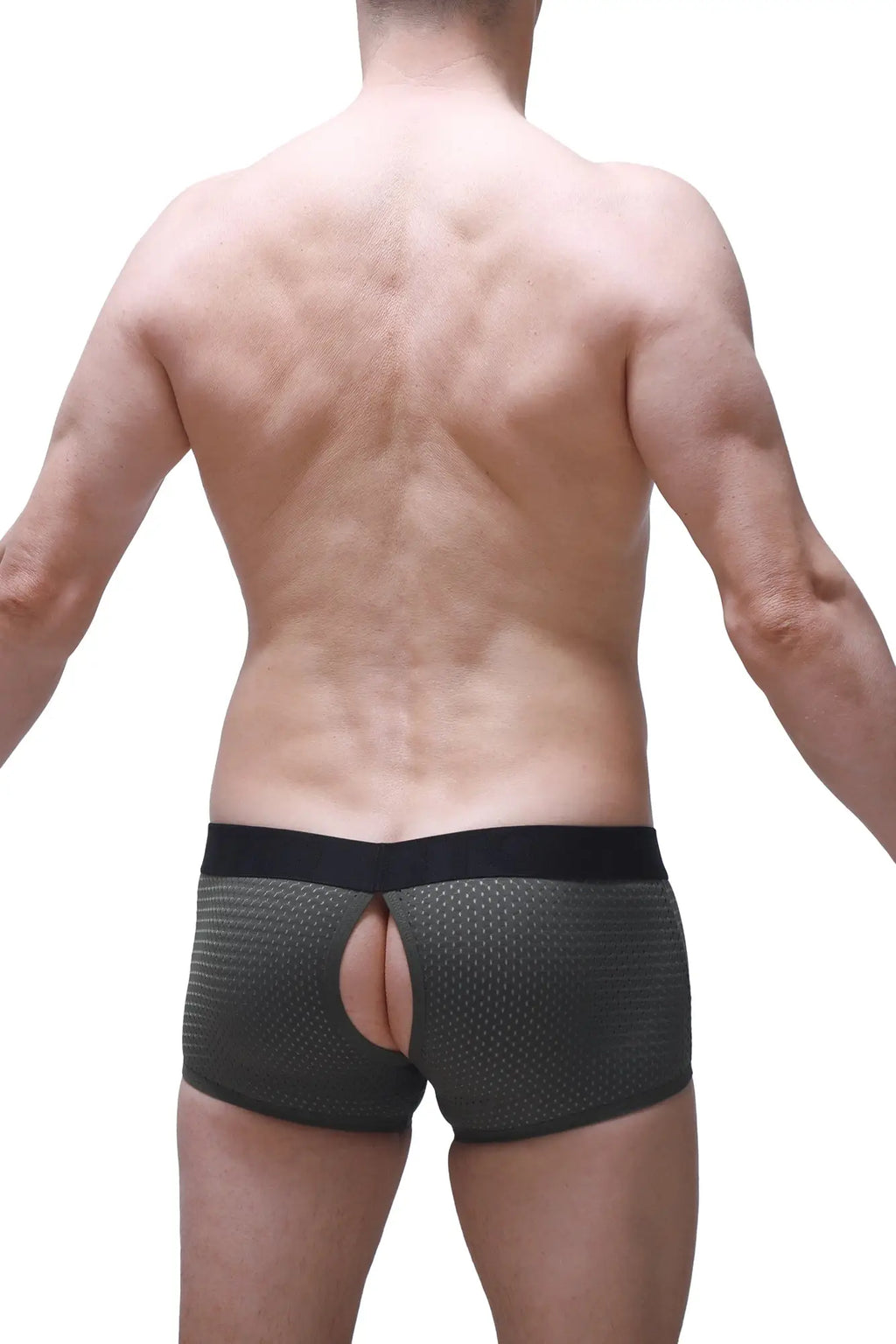 Black mesh petitq boxer anzex bee green briefs with central cutout and elastic waistband front view