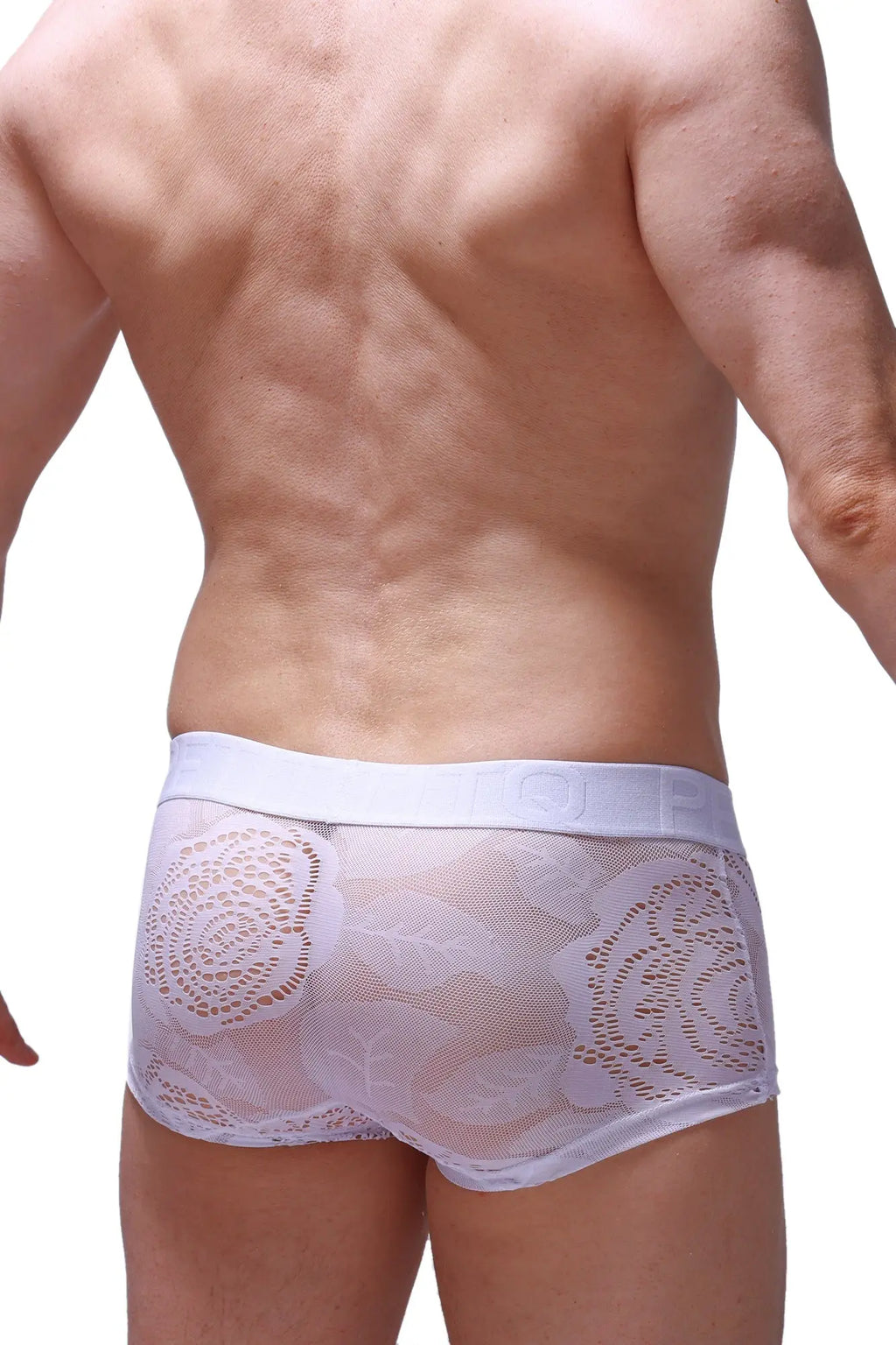 White lace-trimmed briefs with solid white elastic waistband from petitq boxer brief dome coudray white collection