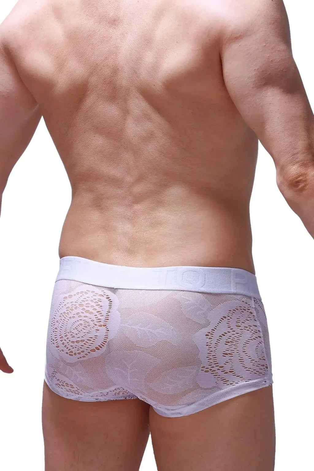 White lace-trimmed briefs with solid white elastic waistband from petitq boxer brief dome coudray white collection