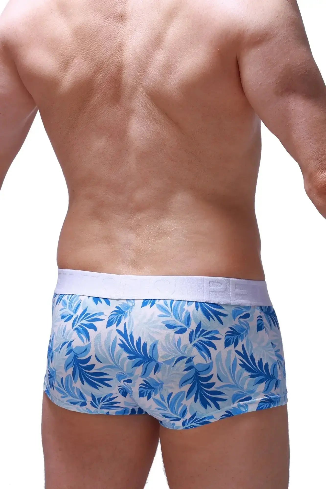 PetitQ boxer brief Maeha in blue and white tropical leaf pattern with solid white elastic waistband for men