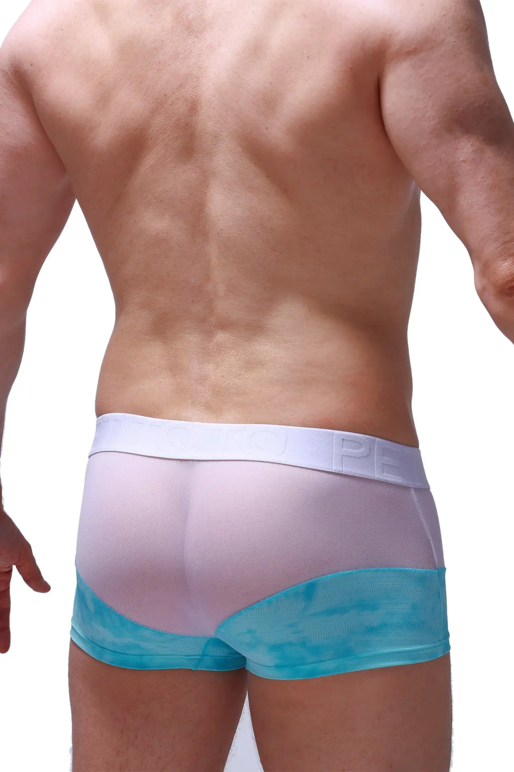 Translucent pink and turquoise mesh petitq boxer brief osly marbre green with white elastic pe logo waistband