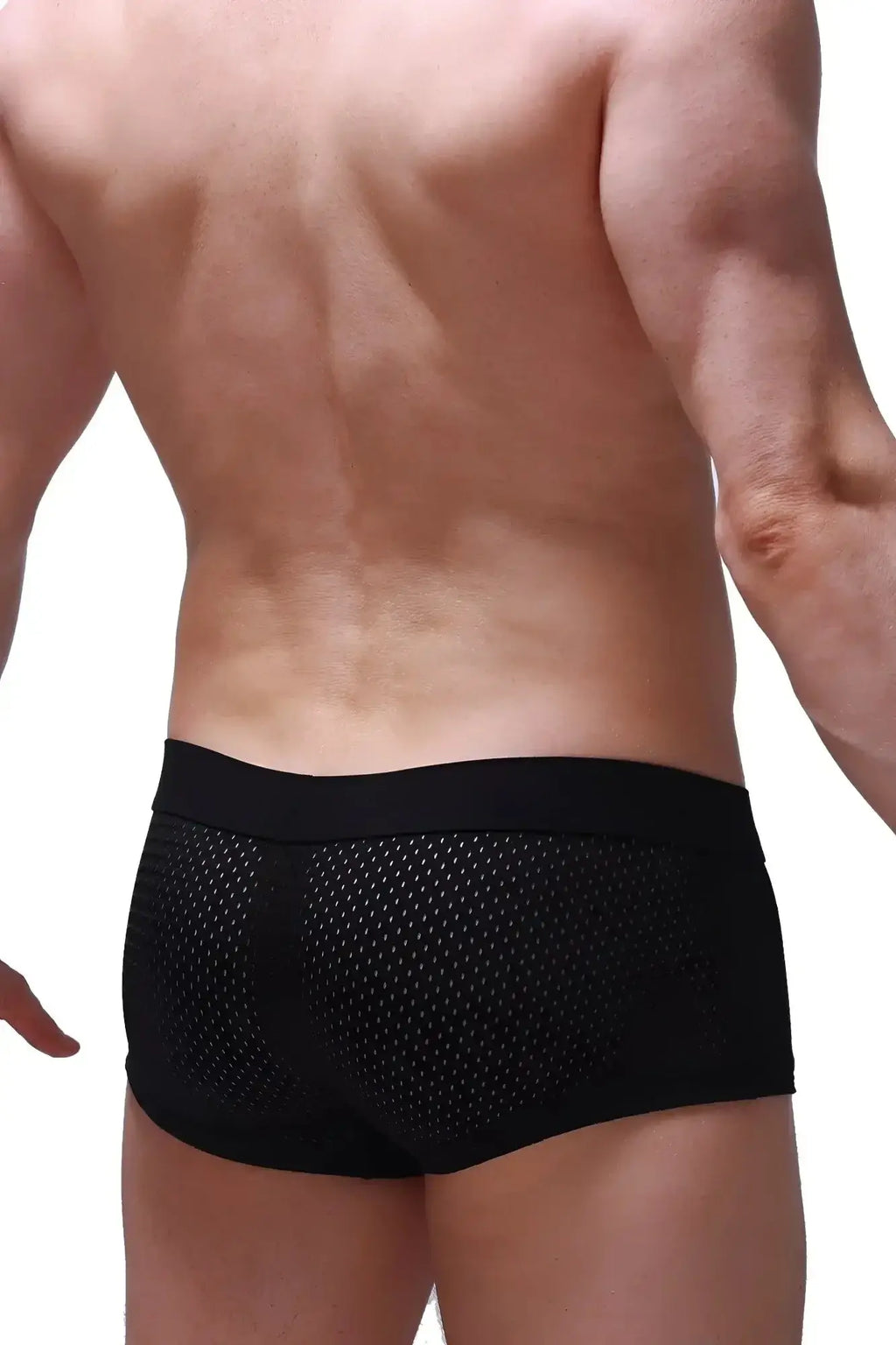 Black mesh petitq boxer brief reotier bee with solid elastic waistband for comfortable everyday wear