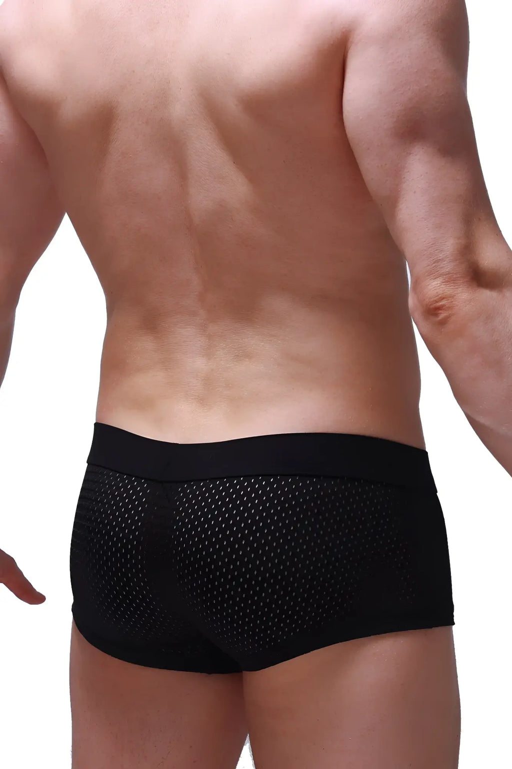 Black mesh petitq boxer brief reotier bee with solid elastic waistband for comfortable everyday wear