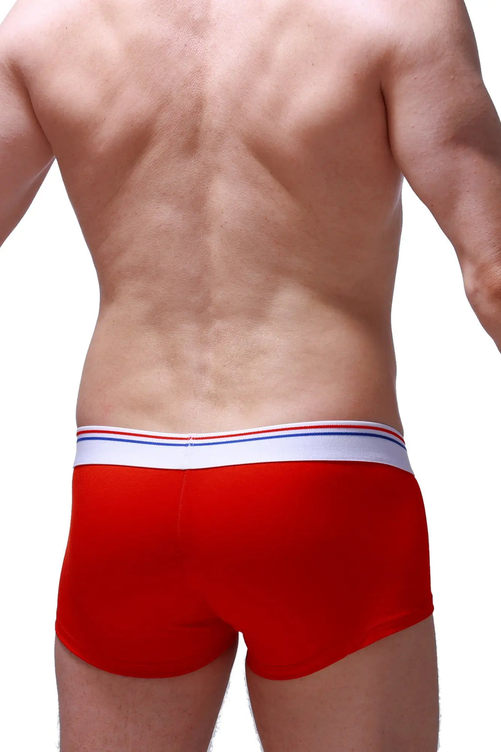 Red petitq boxer brief taik modal in red with a white waistband featuring thin red and blue stripes