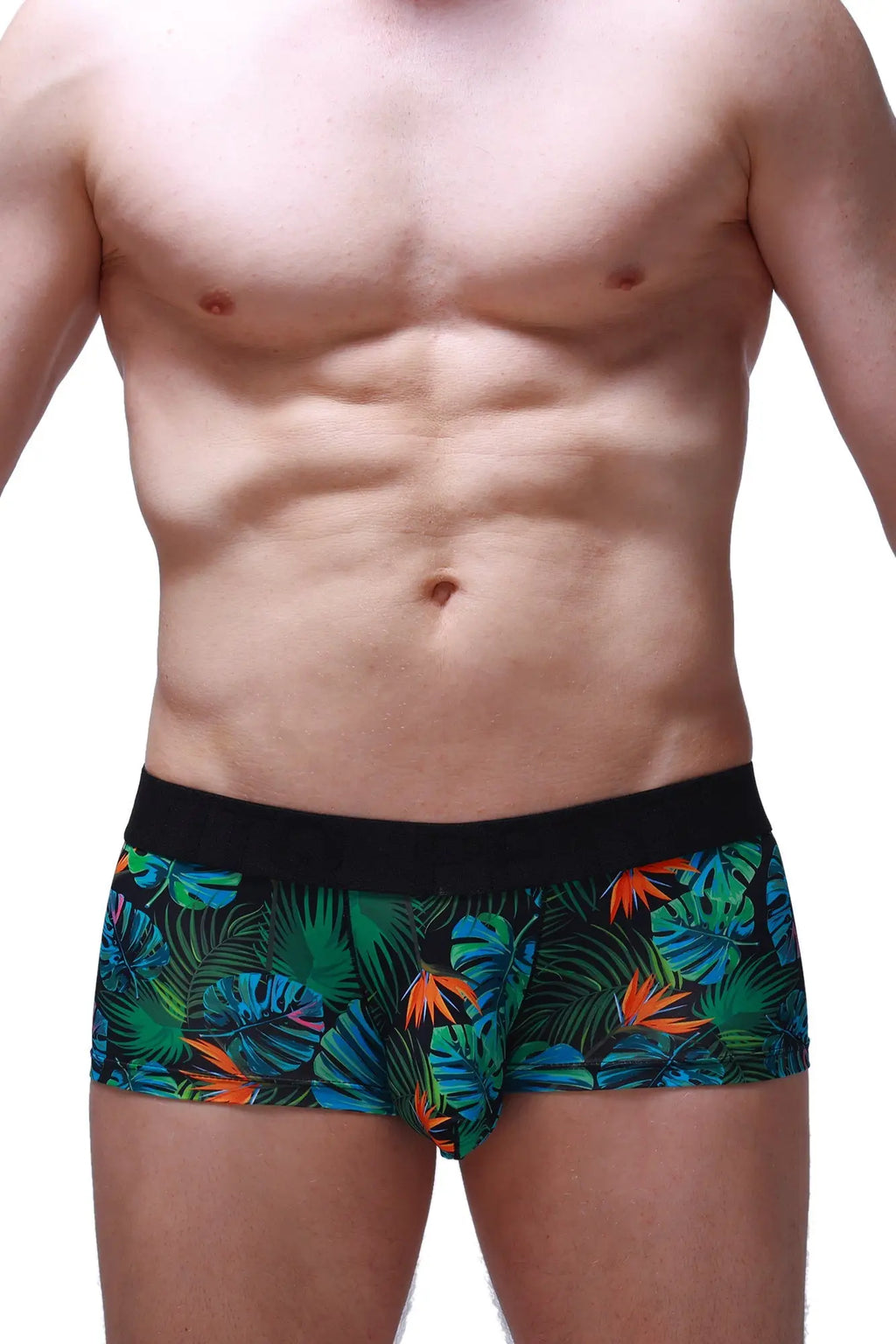 Petitq boxer chill souarce tropical boxer briefs with tropical leaf pattern and black waistband for comfortable wear