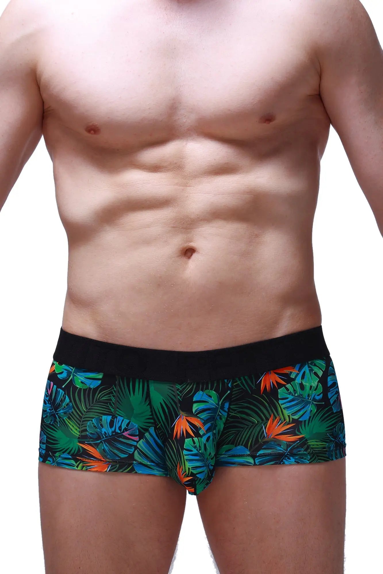 Petitq boxer chill souarce tropical boxer briefs with tropical leaf pattern and black waistband for comfortable wear