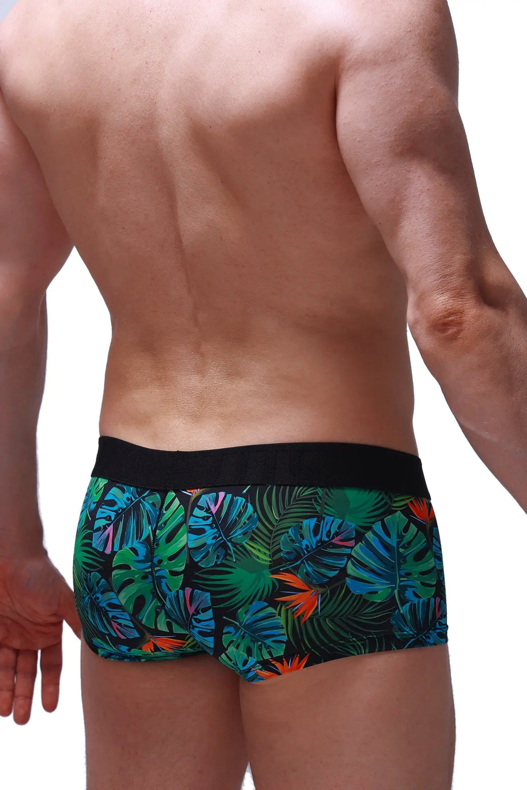 Petitq boxer chill souarce tropical vibrant tropical leaf patterned boxer briefs with black elastic waistband
