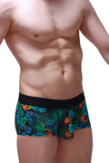 Vibrant tropical leaf patterned petitq boxer chill souarce tropical boxer briefs with solid black waistband
