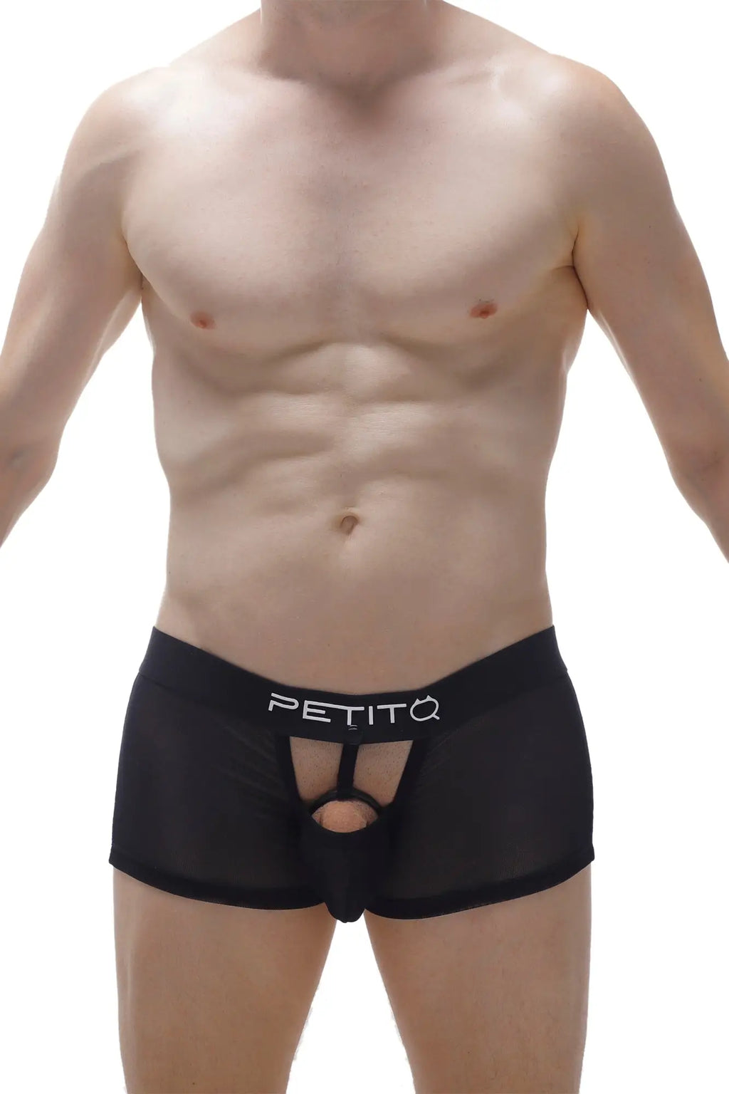 Black mesh petitq boxer cockring net briefs with central cutout and logo waistband in black detachable design