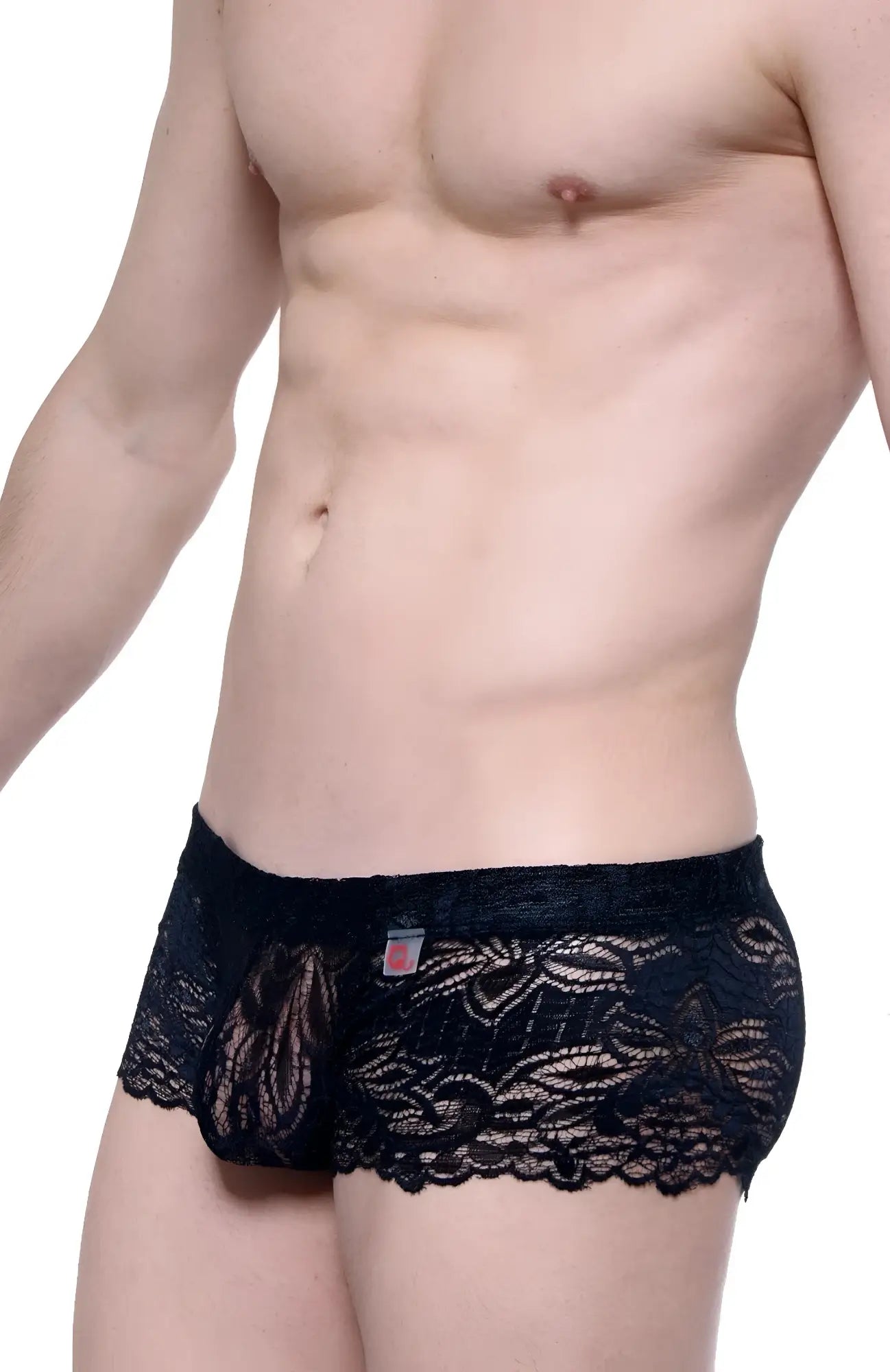 Black lace men’s boxer underwear petitq lace ereac black with intricate floral patterns and scalloped edges