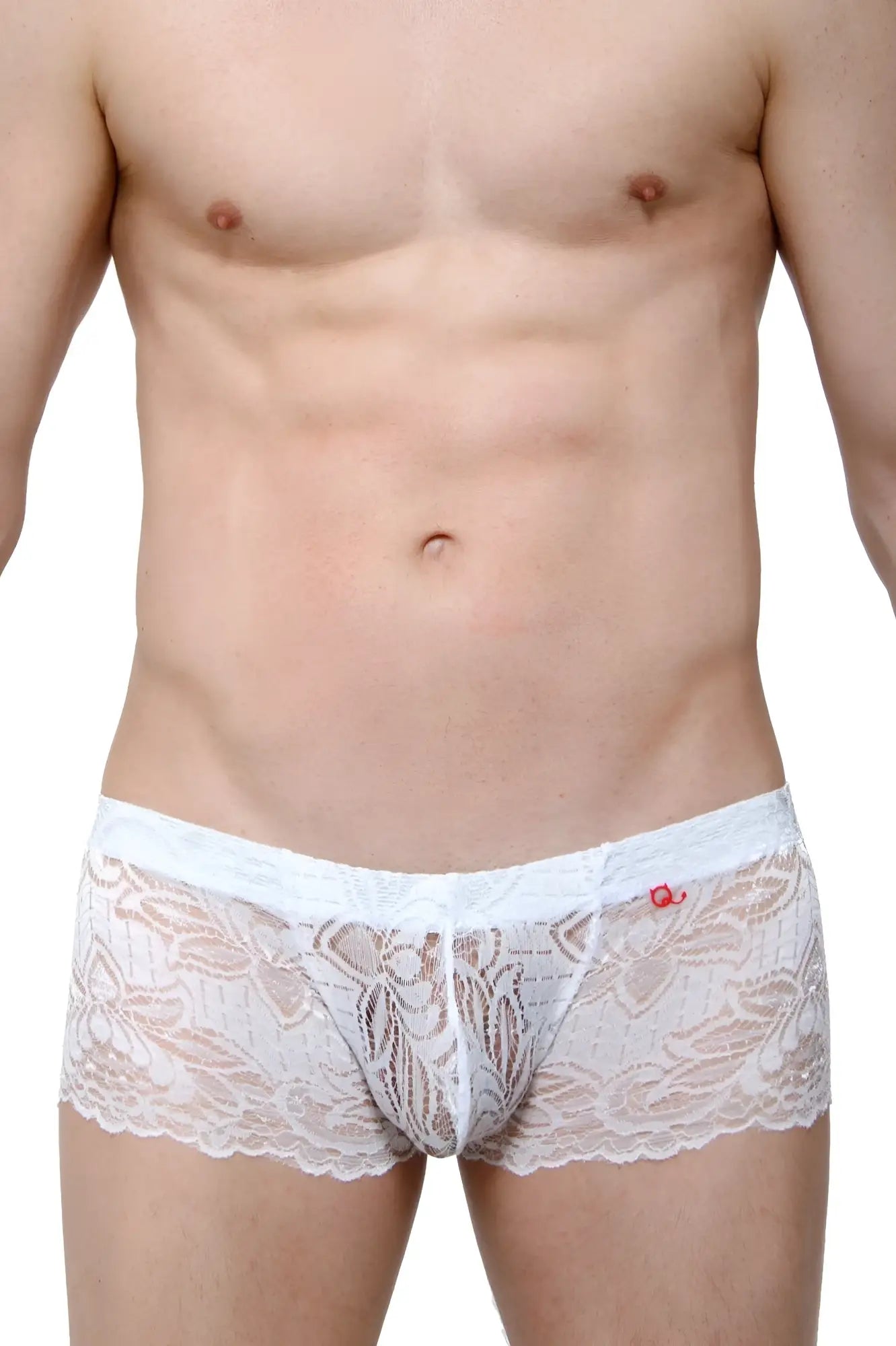 PetitQ lace ereac white men’s briefs in white lace with delicate floral patterns and scalloped edges
