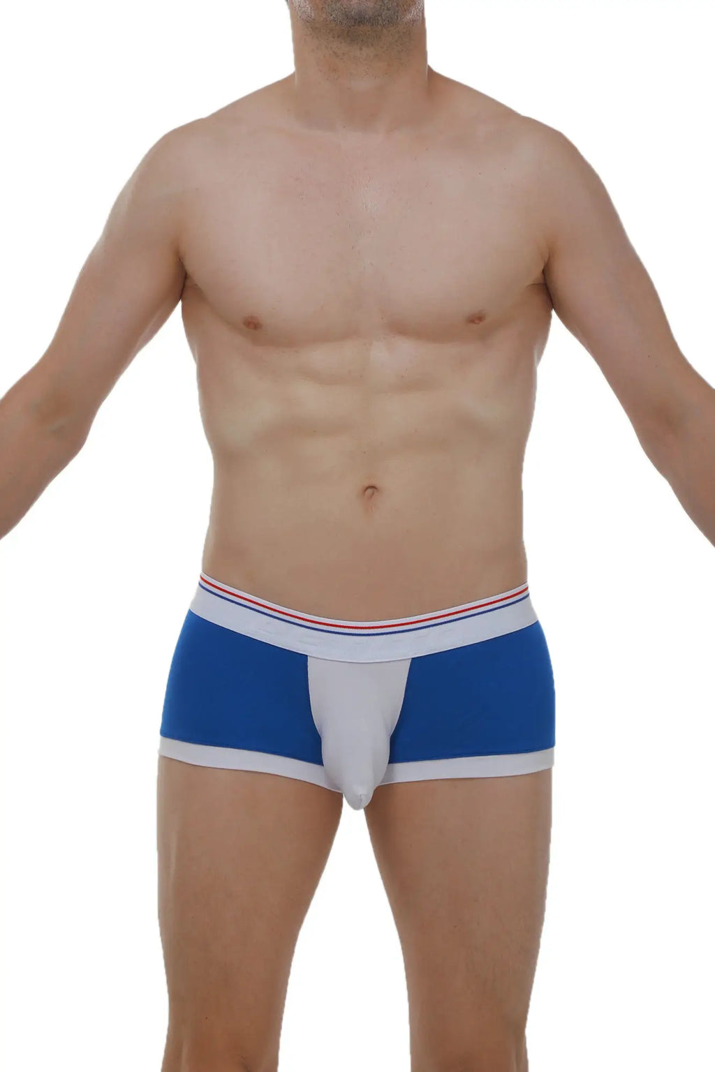 PetitQ boxer Linay blue men’s briefs in blue and white with a red white and blue striped waistband