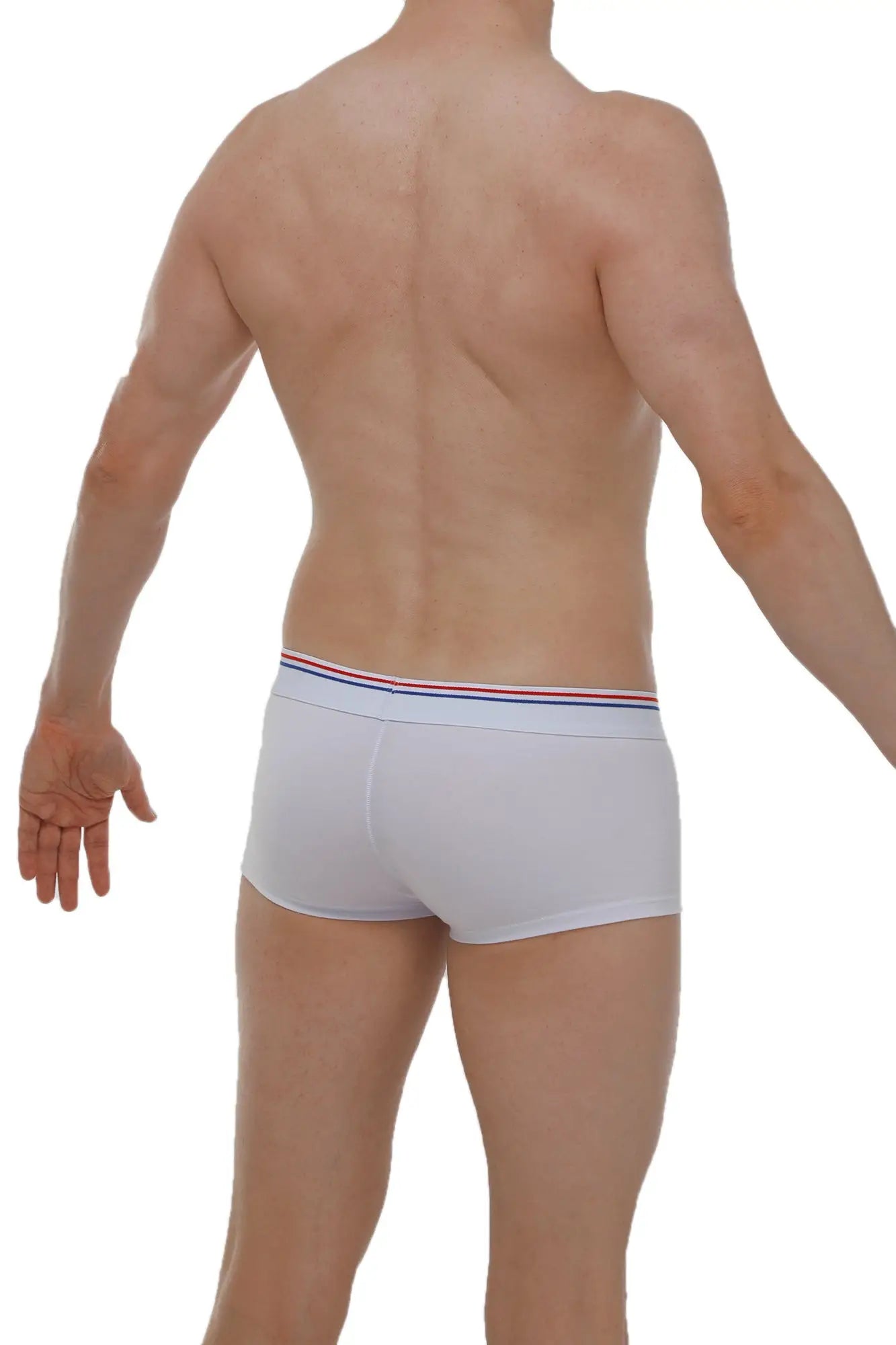 White briefs petitq boxer linay modal with red white and blue striped waistband in soft modal fabric