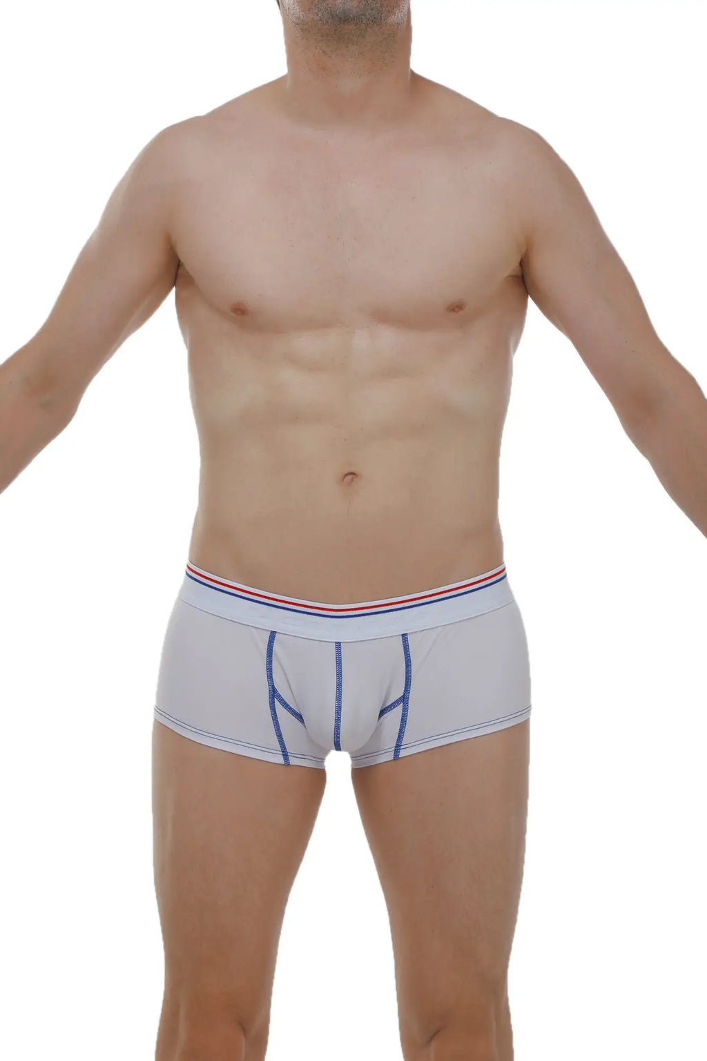 Light gray PetitQ boxer Mano modal briefs with blue stitching and red white blue striped waistband