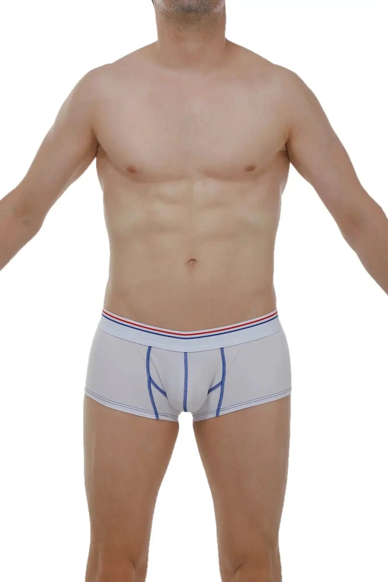 Light gray PetitQ boxer Mano modal briefs with blue stitching and red white blue striped waistband