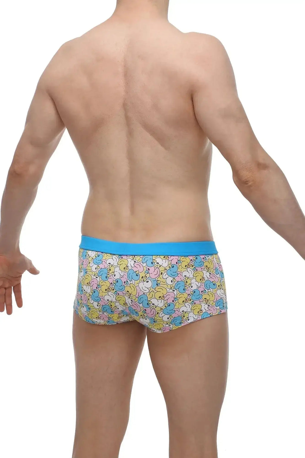 Blue-trimmed petitq boxer meljac duckies men’s briefs with pastel cartoon ducks on white background