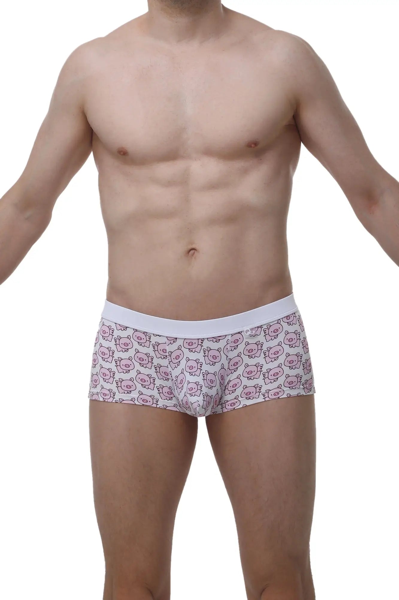 White PetitQ boxer briefs with a repeating pattern of pink cartoon pig faces called Meljac Piggy Love