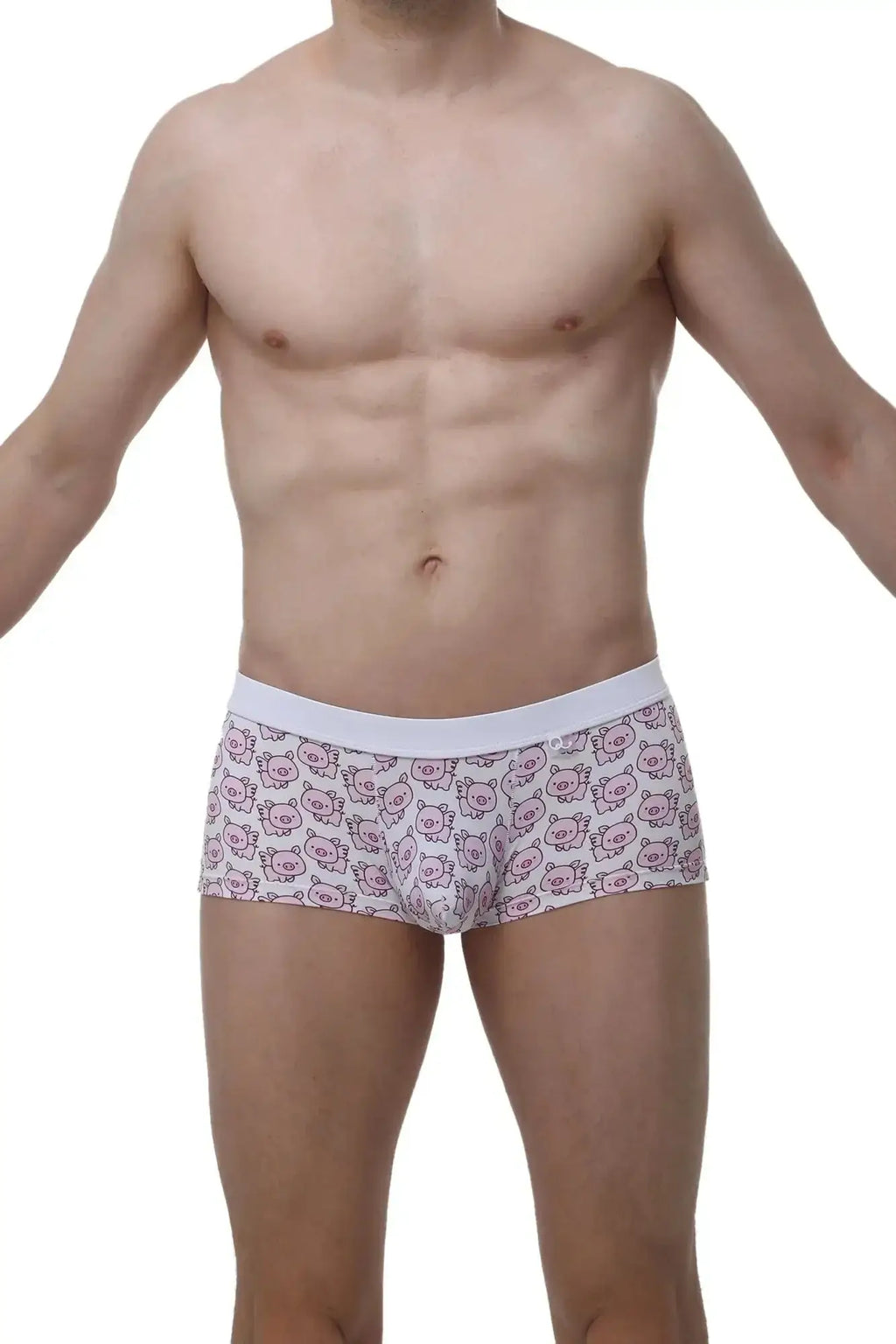 White PetitQ boxer briefs with a repeating pattern of pink cartoon pig faces called Meljac Piggy Love