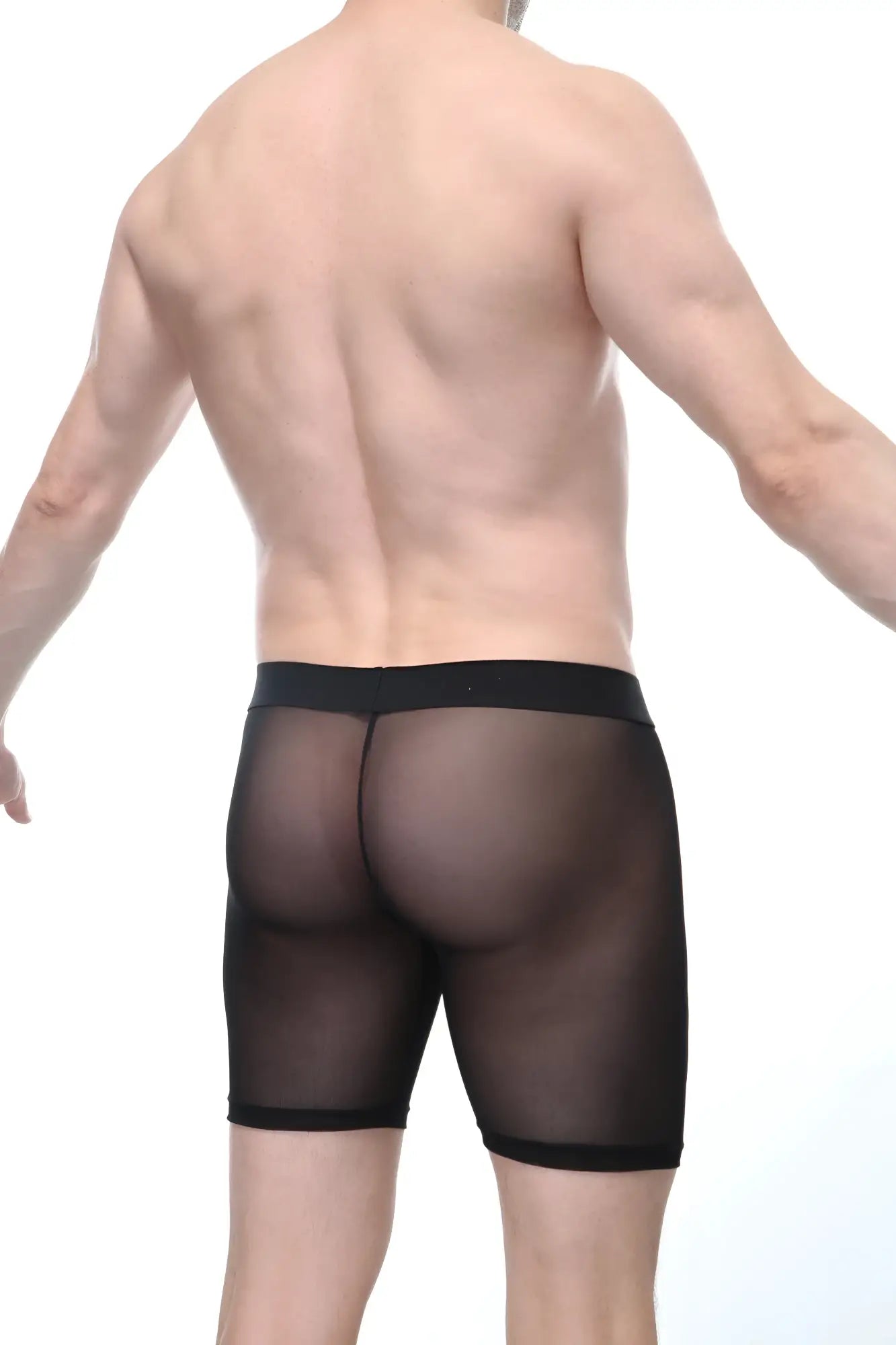 PetitQ boxer miniac black sheer mesh briefs with solid black elastic waistband front view