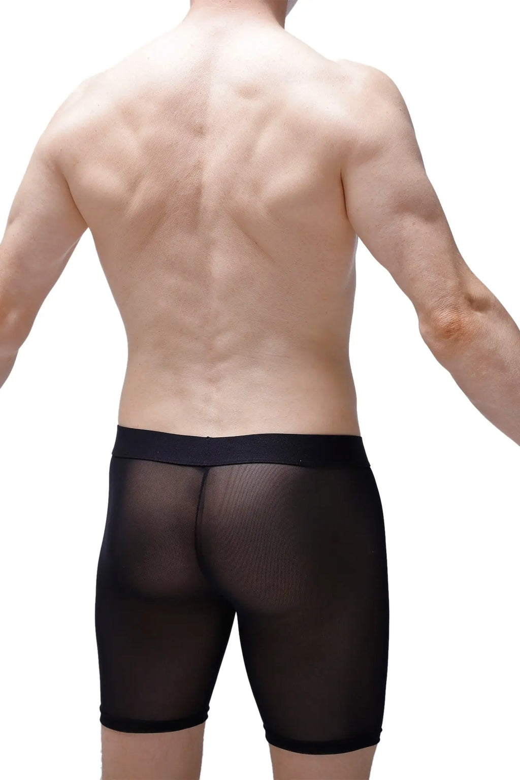 Petitq boxer miniac black sheer mesh briefs with solid black waistband for a stylish comfortable fit