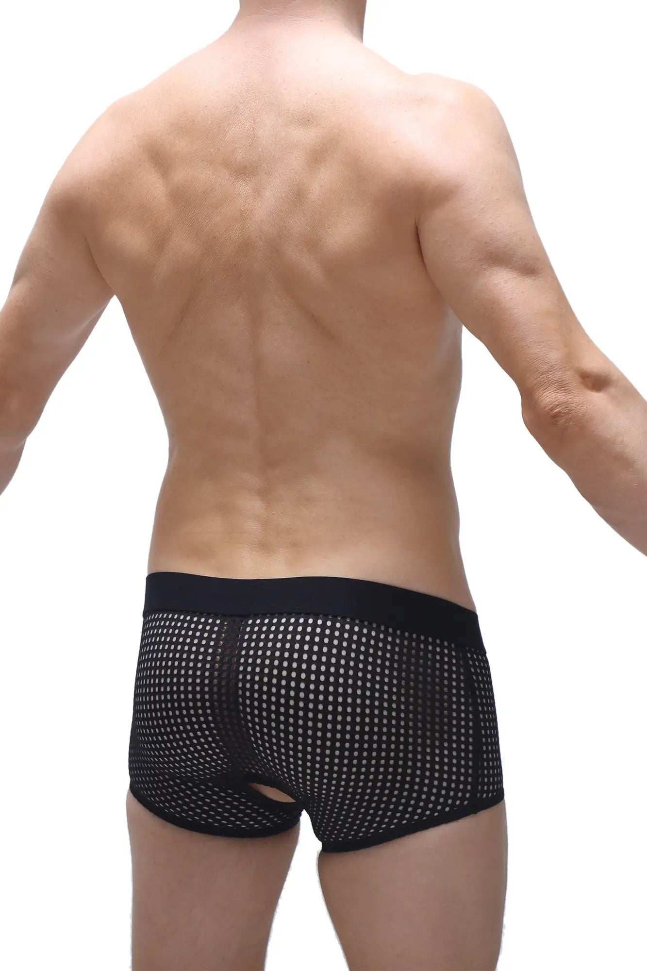 Black mesh petitq boxer moras durtol briefs with solid waistband and small back cutout shown from the back side