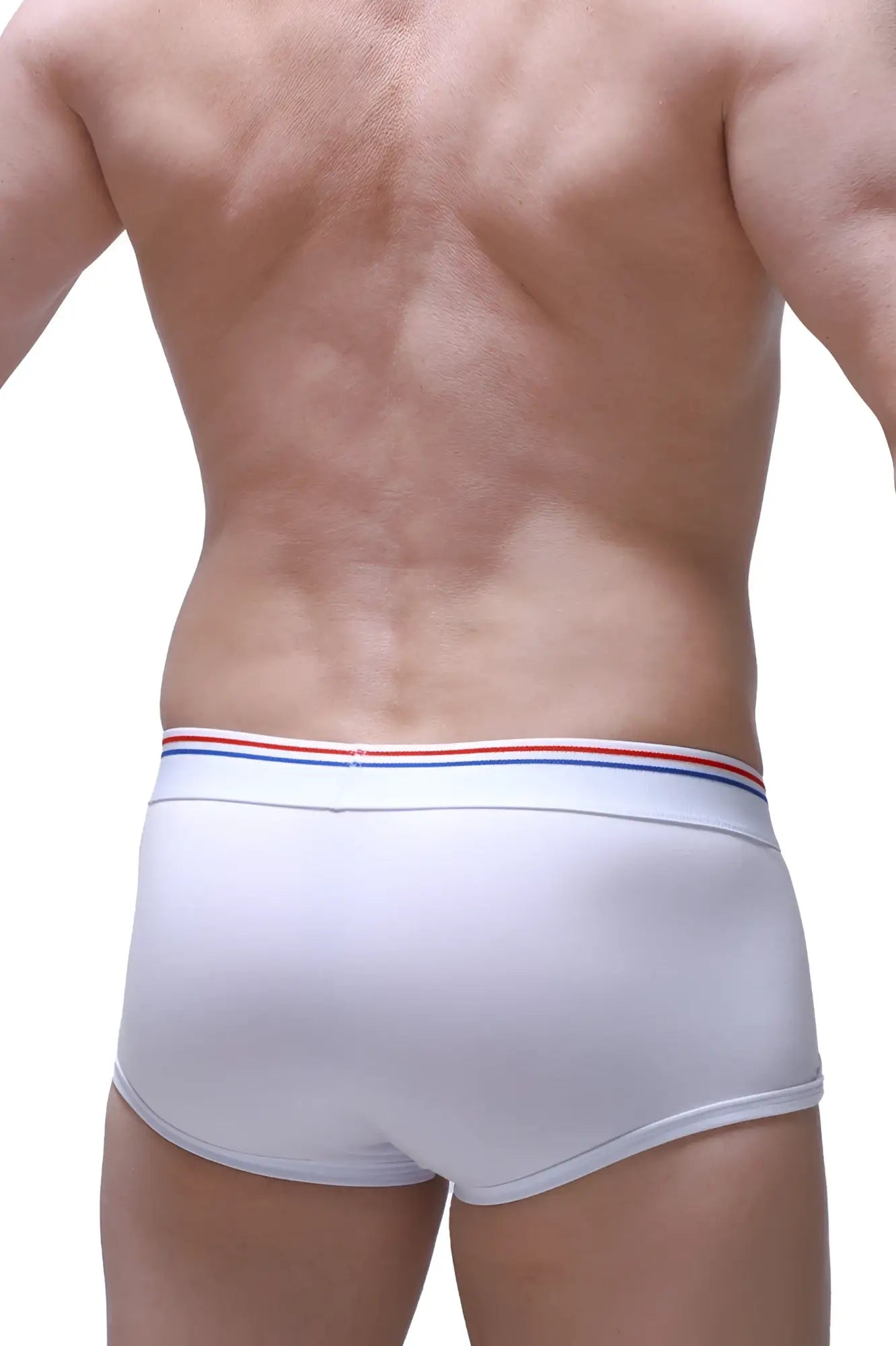 White petitq boxer morrier briefs with a red white and blue striped waistband for comfortable everyday wear