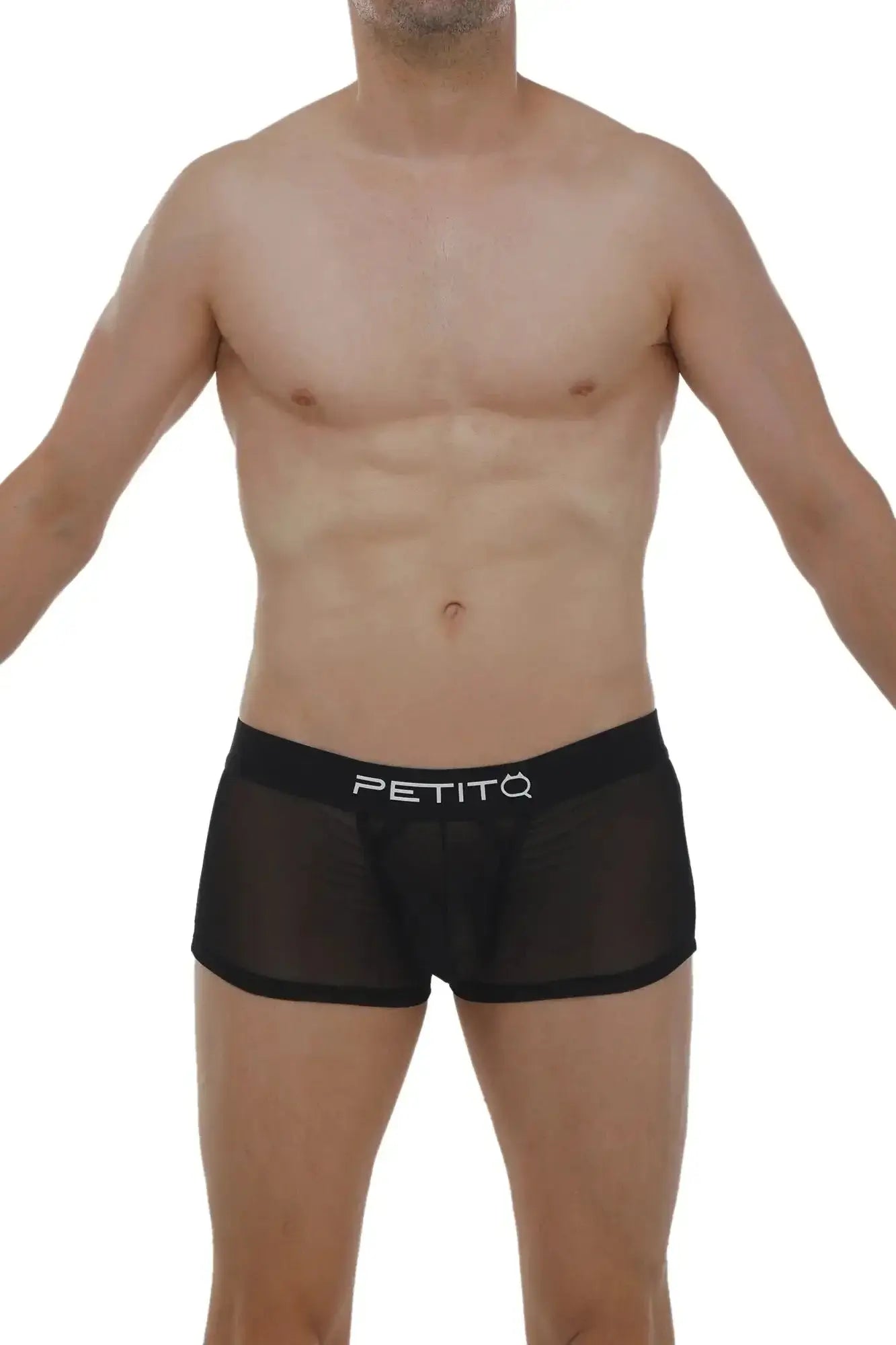 PetitQ boxer petitQ net black sheer mesh briefs with solid black waistband and white petitq logo