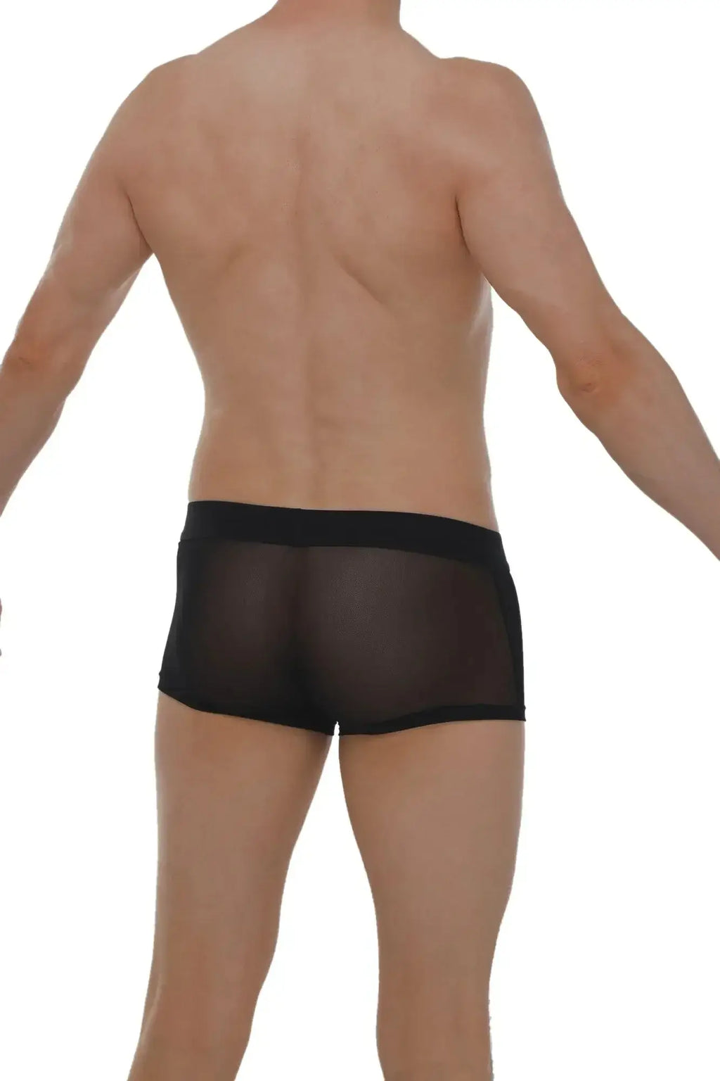 Black sheer mesh briefs with solid black waistband petitq boxer petitq net black front view
