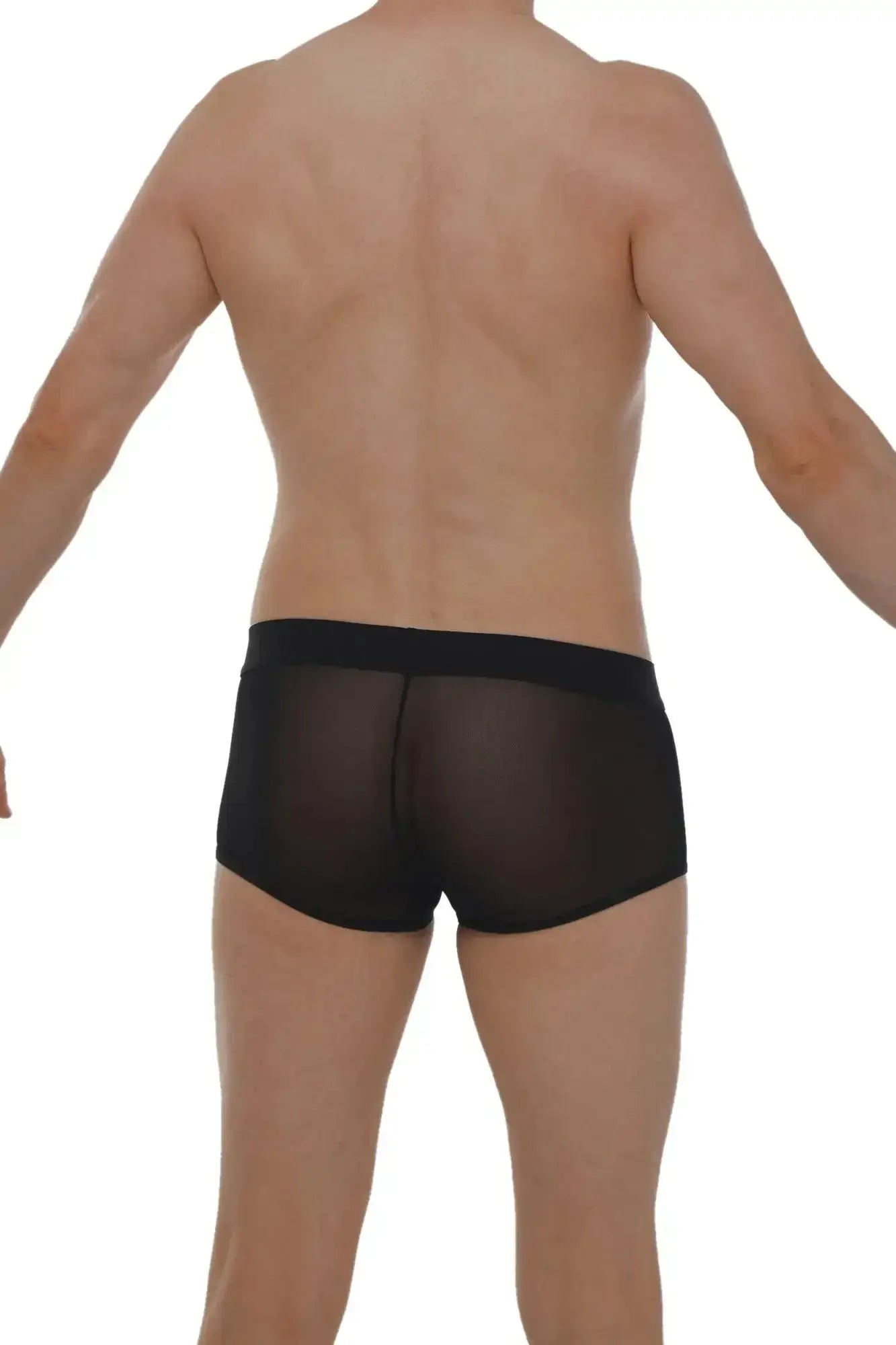 Black sheer mesh briefs with solid black waistband petitq boxer petitq net black front view