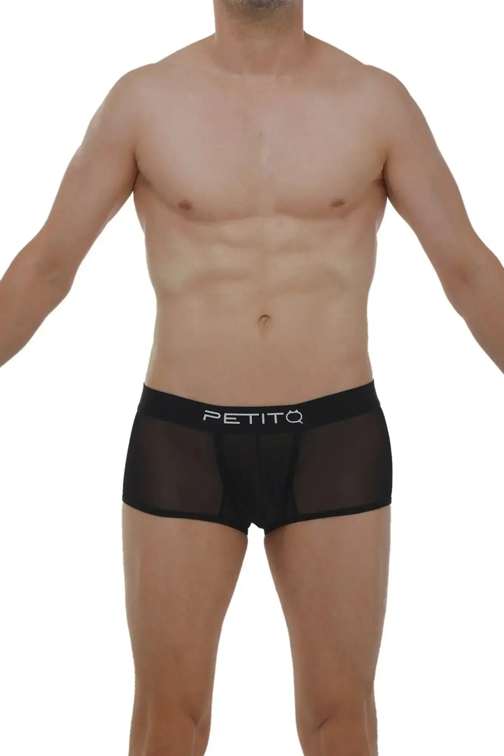 Black sheer mesh briefs with white petitq logo on waistband from petitq boxer petitq net black collection