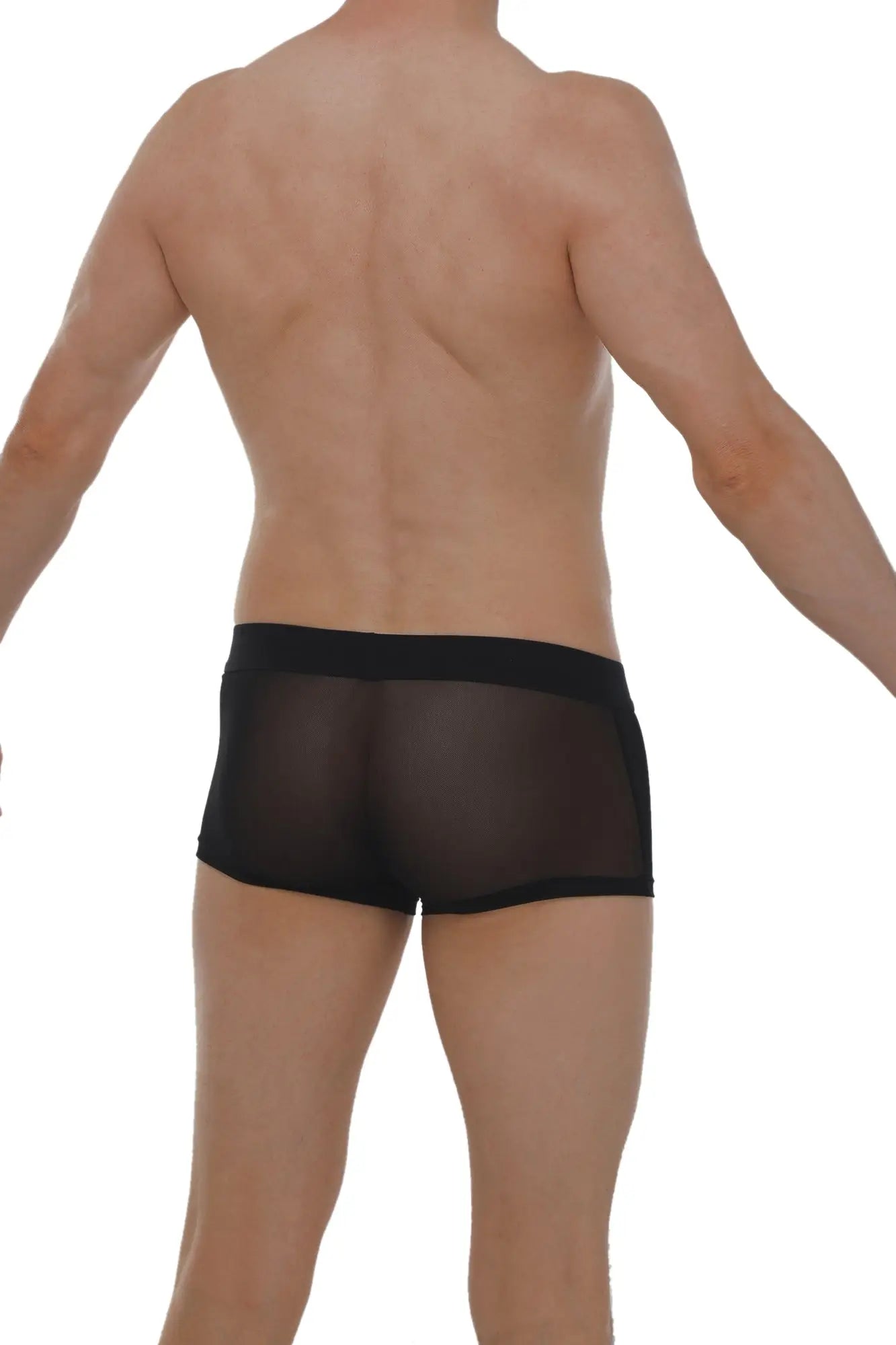 Black sheer mesh briefs with solid black waistband petitq boxer petitq net black front view