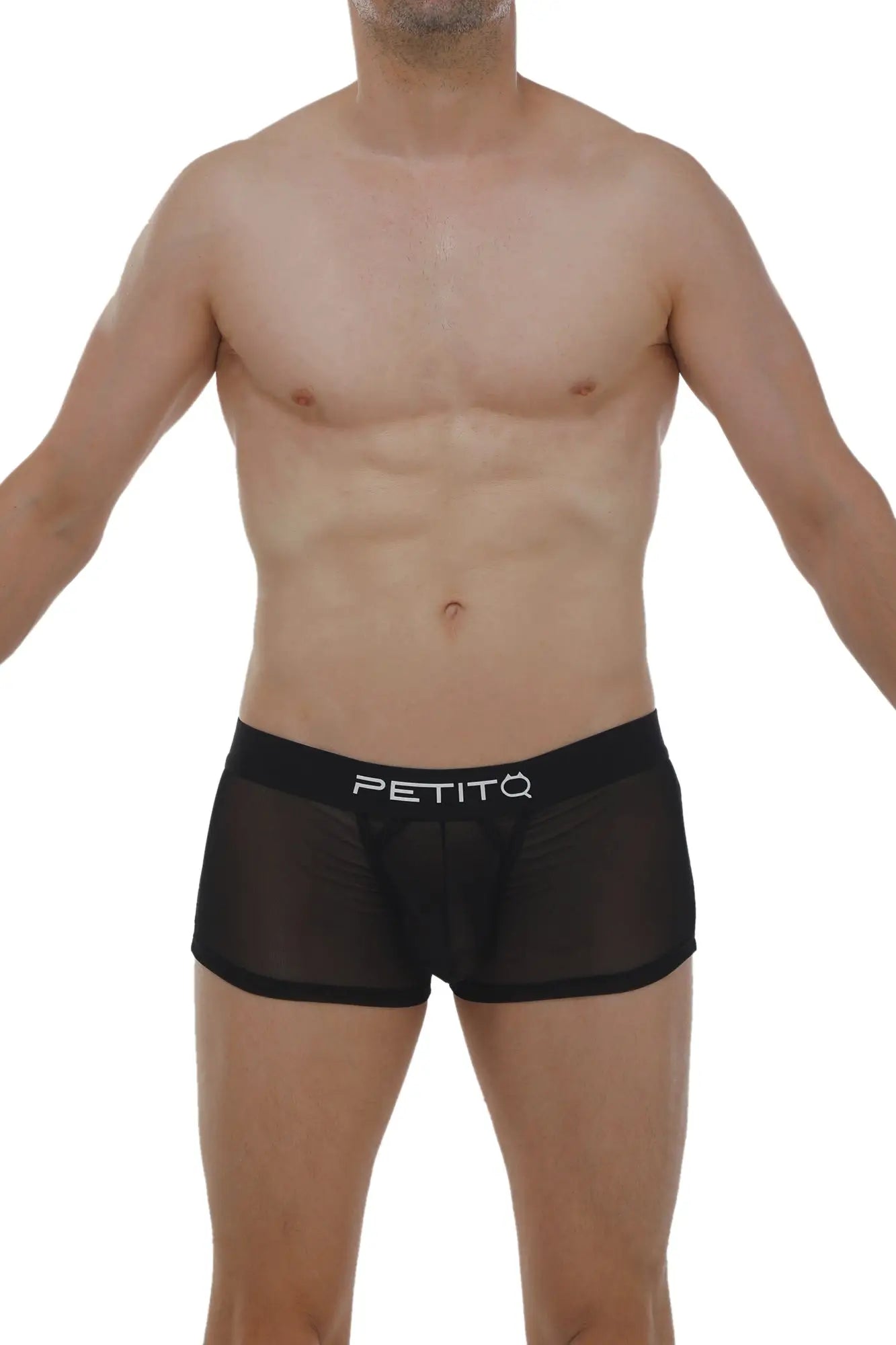PetitQ boxer petitQ net black sheer mesh briefs with solid black waistband and white petitq logo