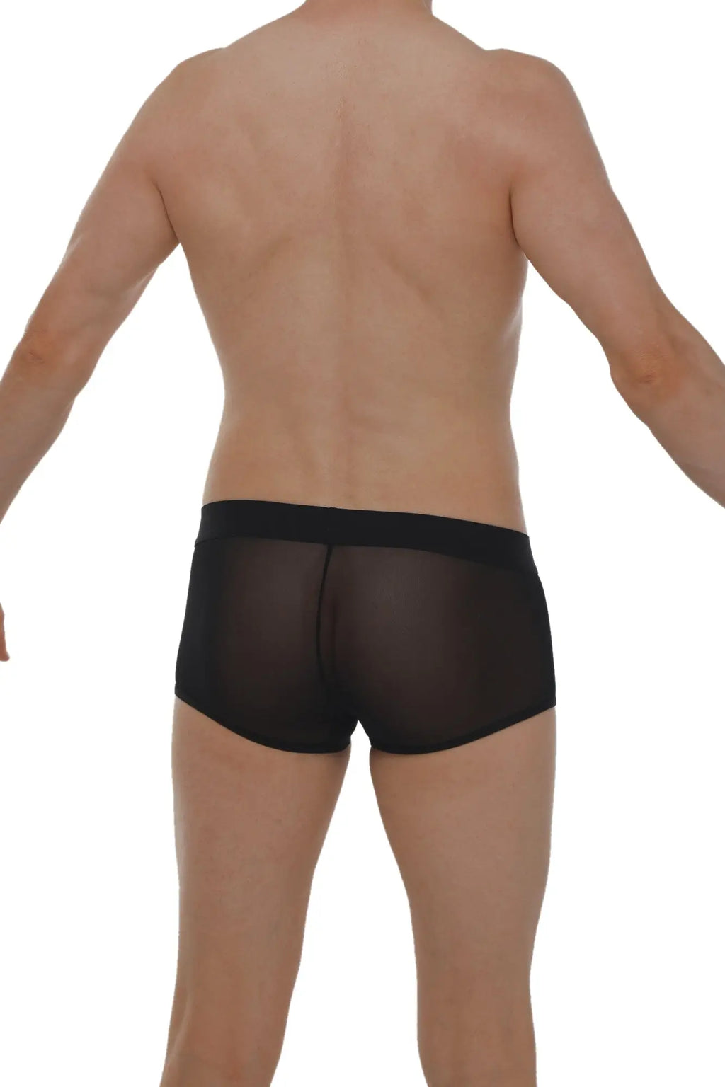 Black sheer mesh briefs with solid black waistband petitq boxer petitq net black front view