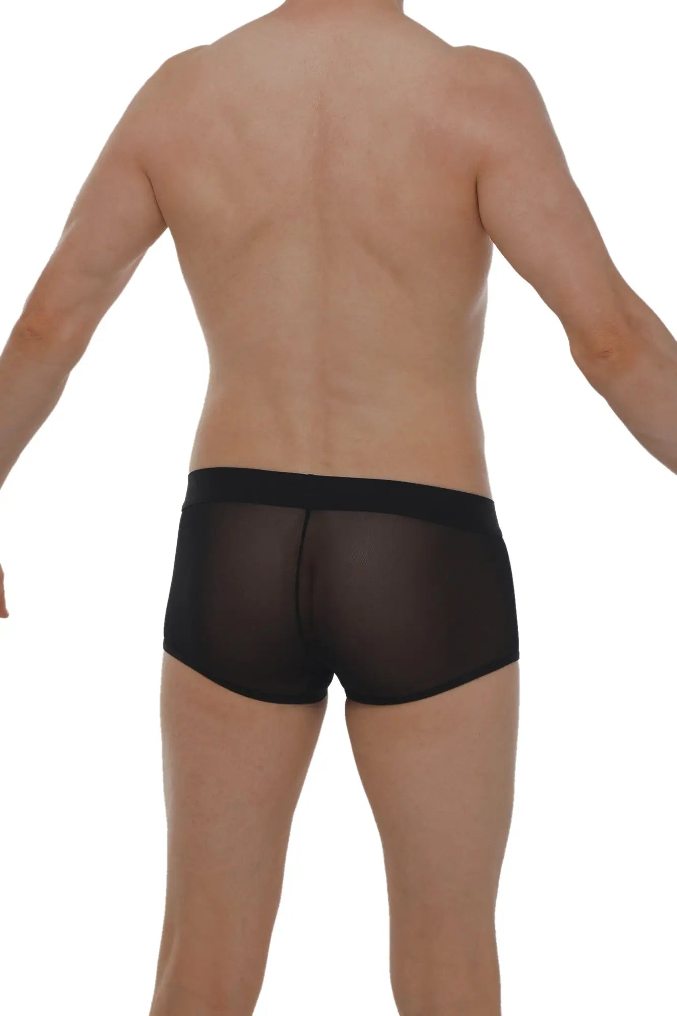 Black sheer mesh briefs with solid black waistband petitq boxer petitq net black front view
