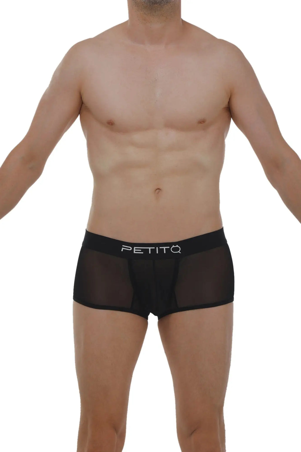 Black sheer mesh briefs with white petitq logo on waistband from petitq boxer petitq net black collection
