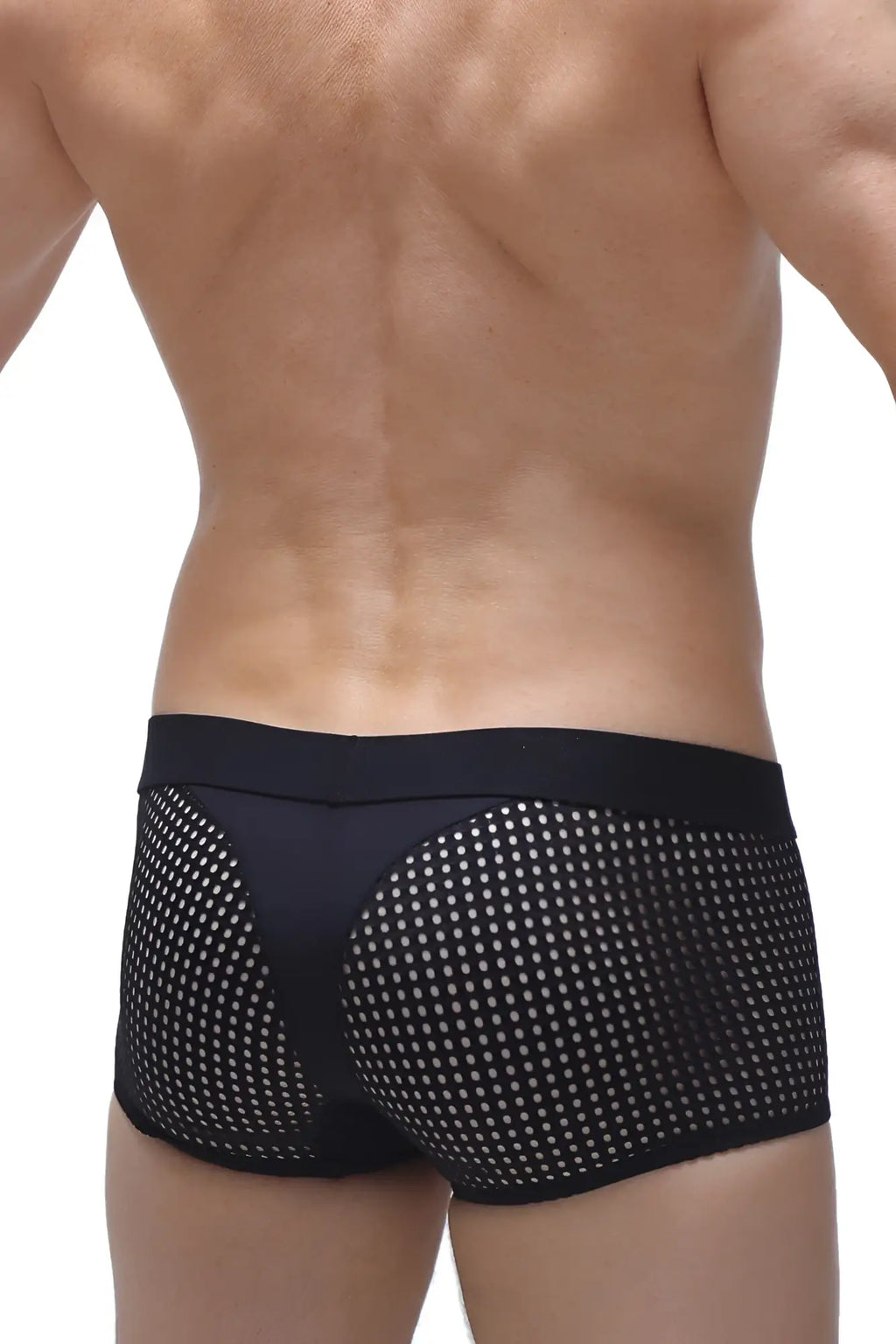 Black mesh briefs petitq boxer noth durtol black with solid waistband and white dot pattern