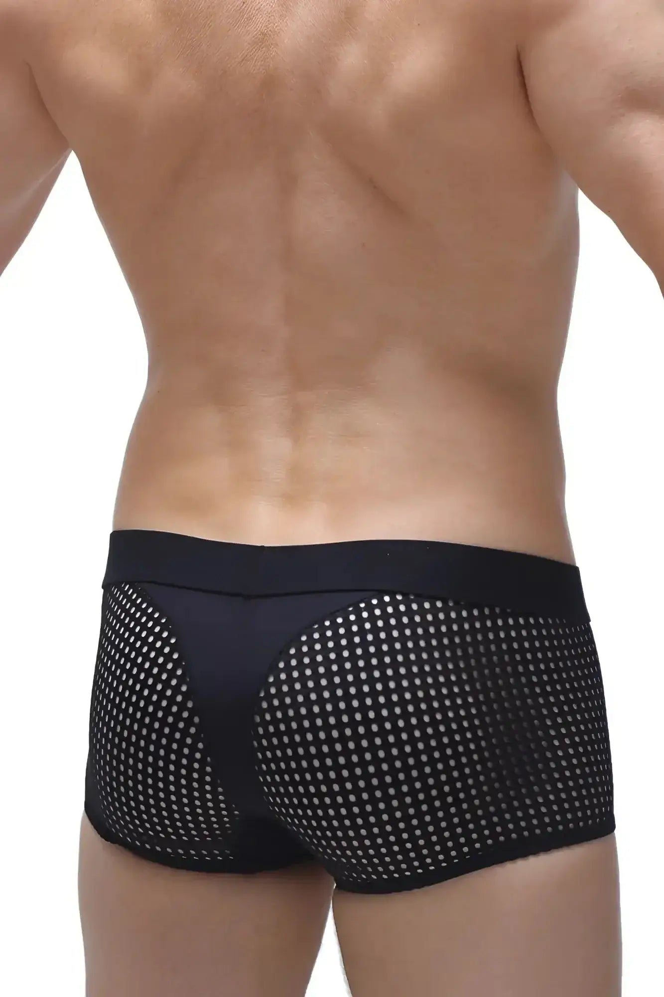 Black mesh briefs petitq boxer noth durtol black with solid waistband and white dot pattern