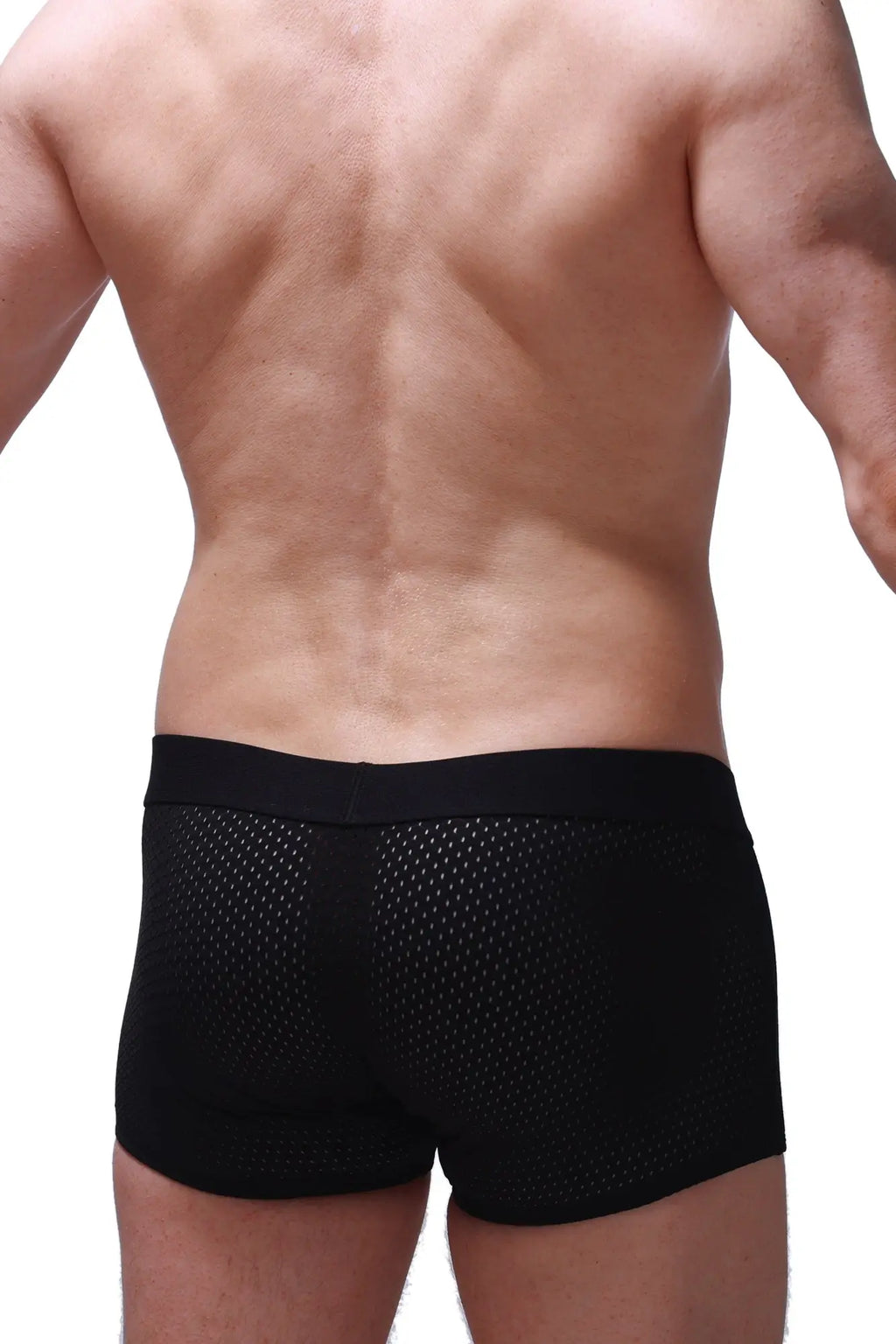 Black mesh briefs with solid waistband from petitq boxer olloix bee black featuring breathable material design