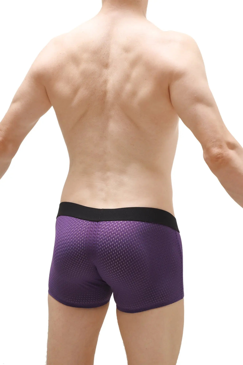 Purple mesh PetitQ boxer Olloix Bee briefs with black waistband showing front side