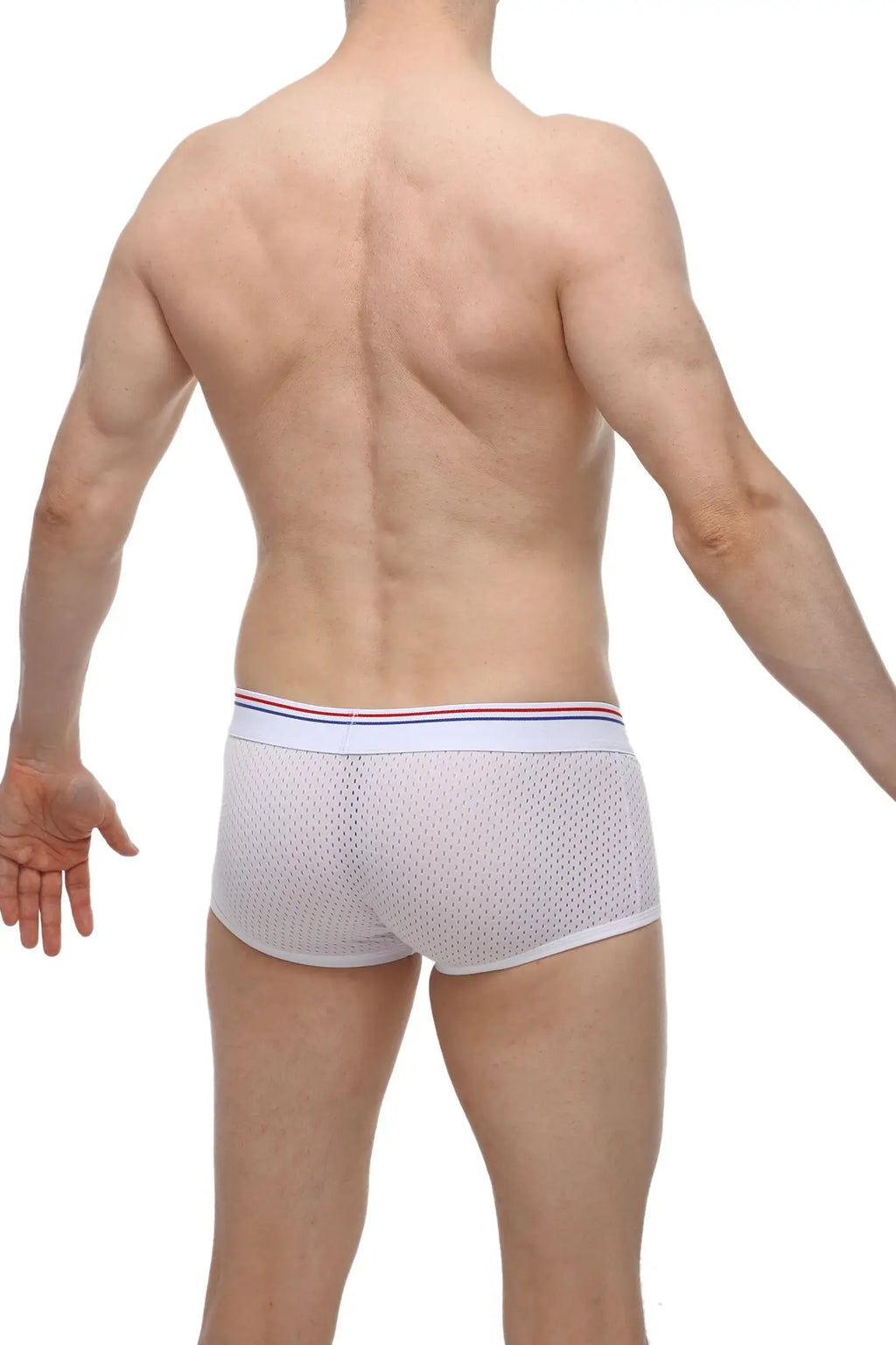 Petitq boxer olloix bee white white mesh briefs with red white and blue striped waistband front side view
