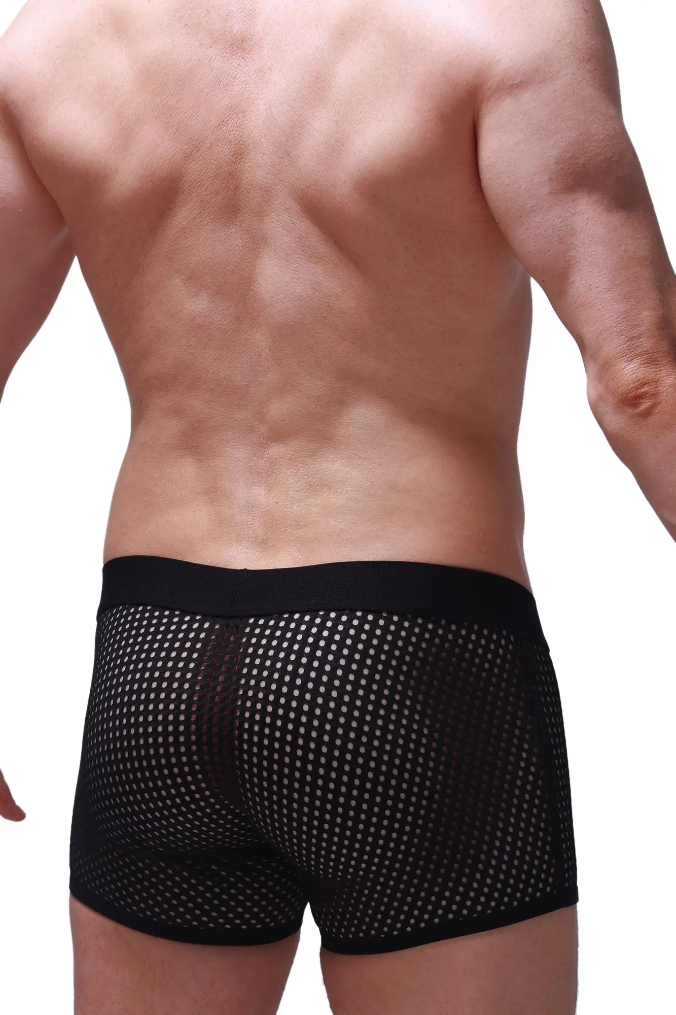 PetitQ boxer olloix durtol black mesh boxer briefs with solid black waistband for breathable comfort